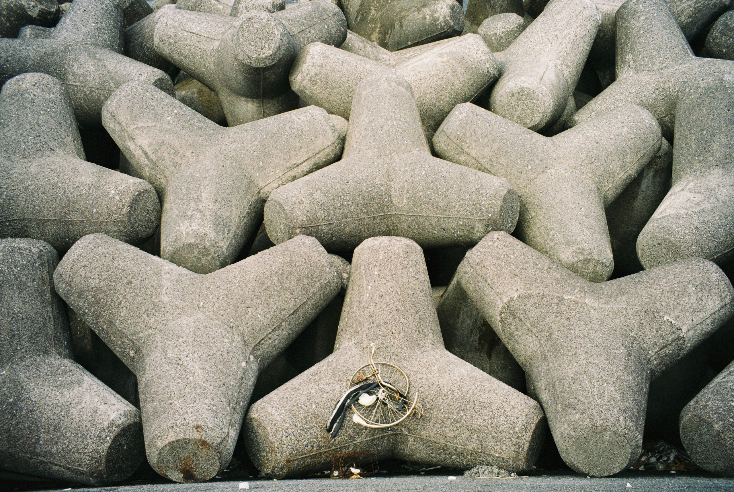 Дни и ночи Японии