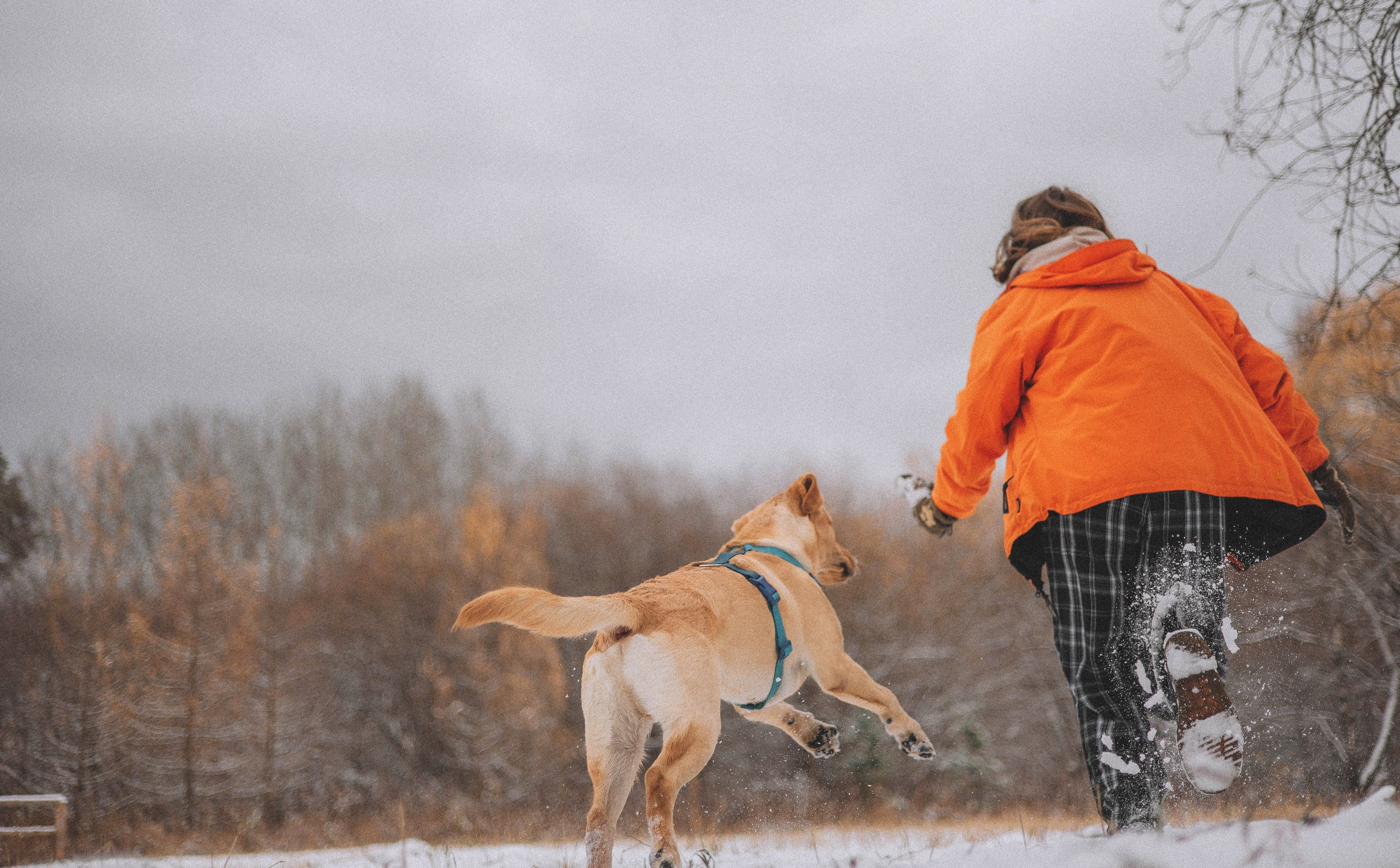 Маргарита и Варди. Фотограф-анималист Богданова Полина