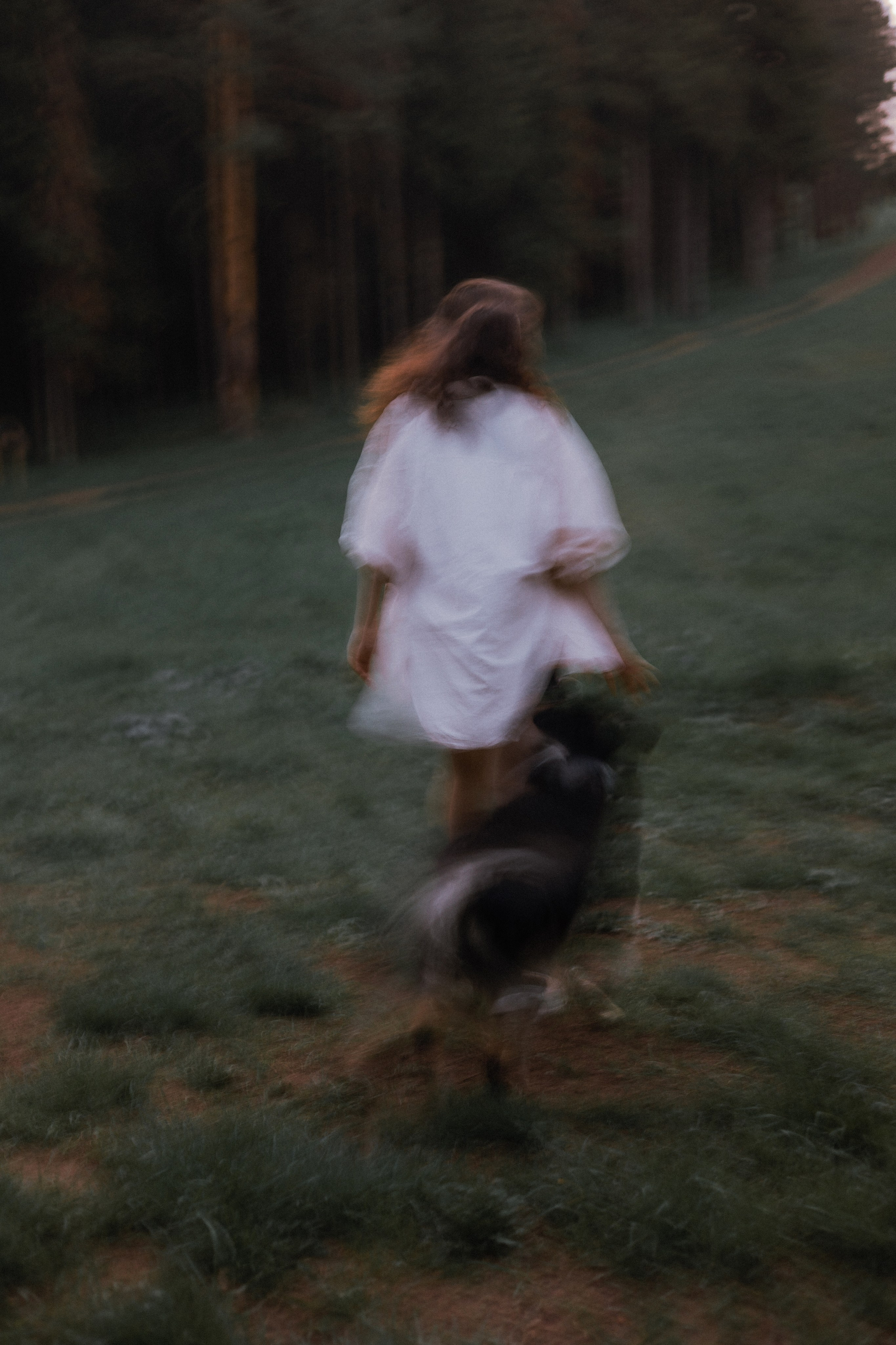 Настя, Шуня, Милка и Тигуан. Фотограф-анималист Богданова Полина