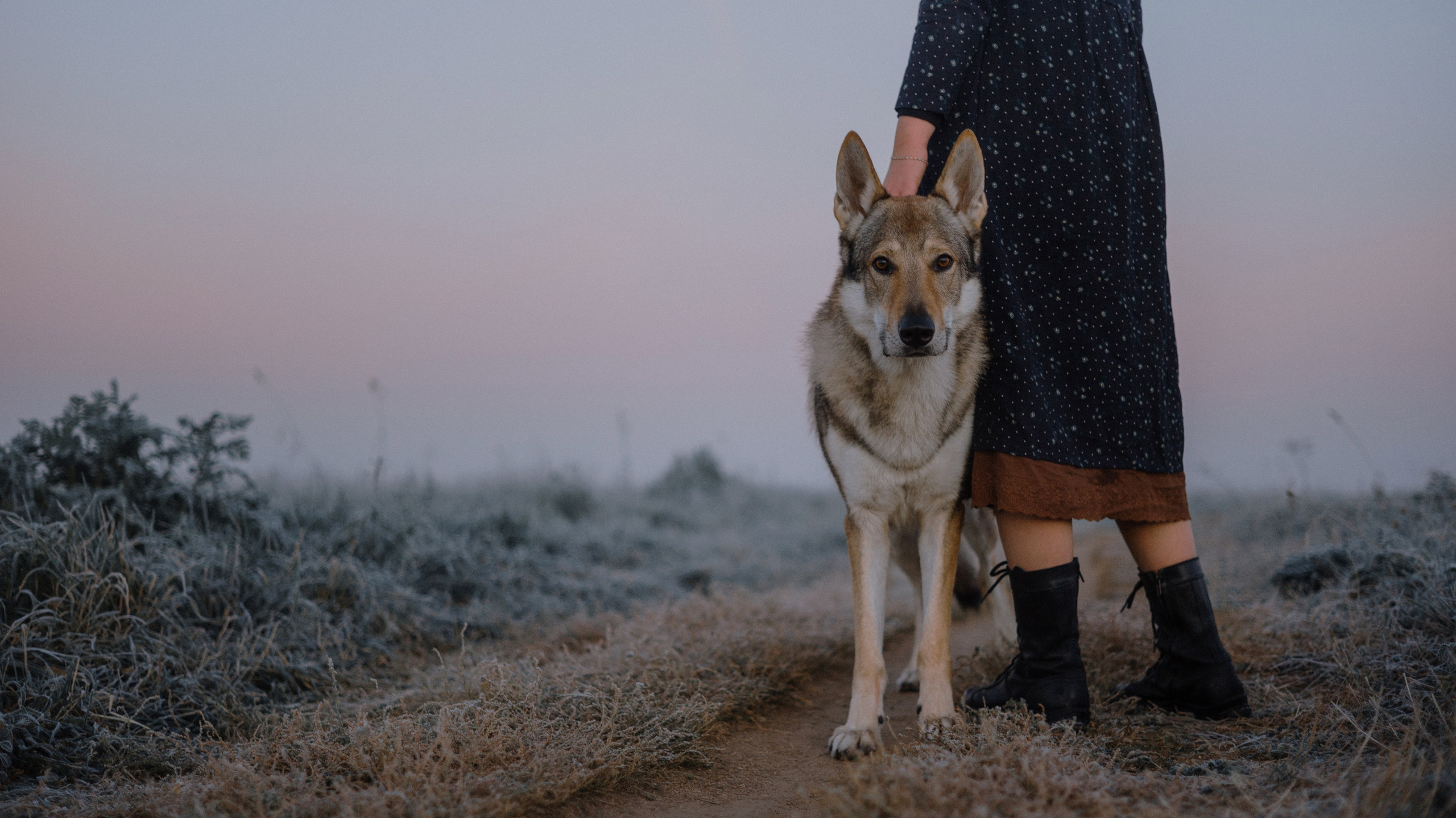 Полина и Вегард. Фотограф-анималист Богданова Полина