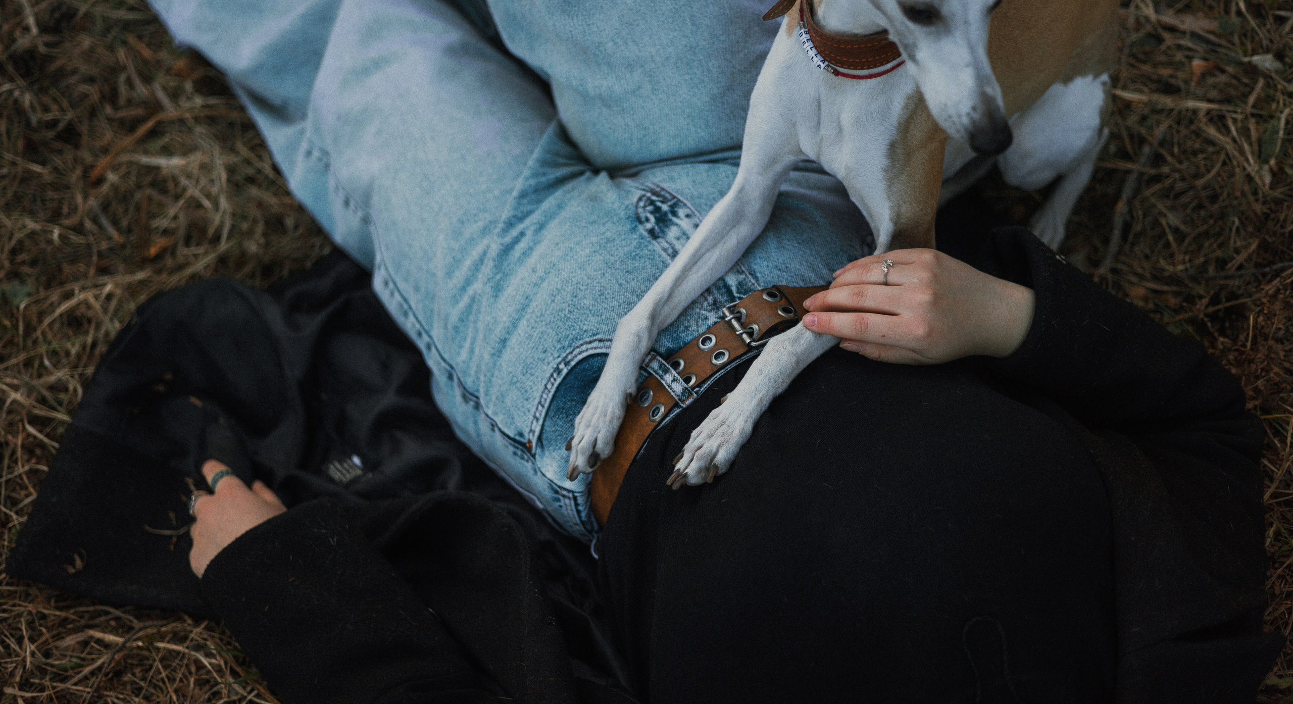 Вика, Джем и Белла. Фотограф-анималист Богданова Полина