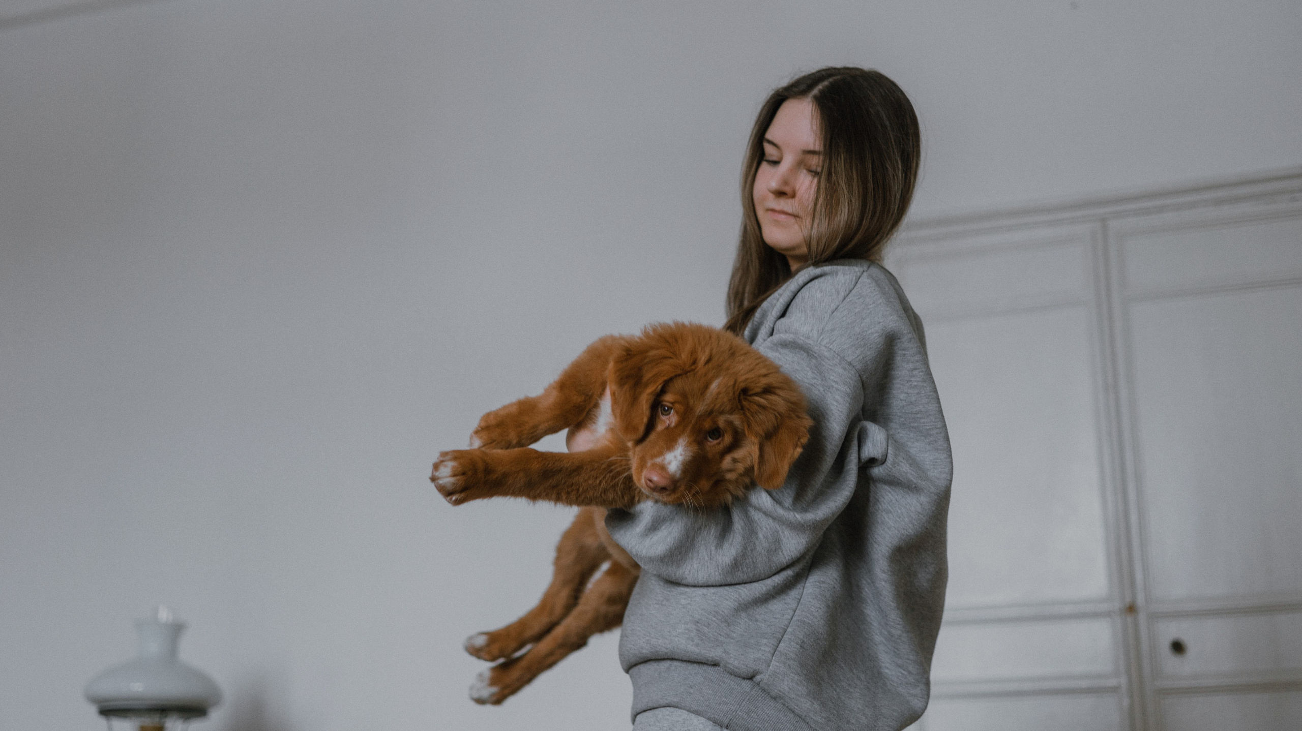 Маша, Одди и Нэвил. Фотограф-анималист Богданова Полина