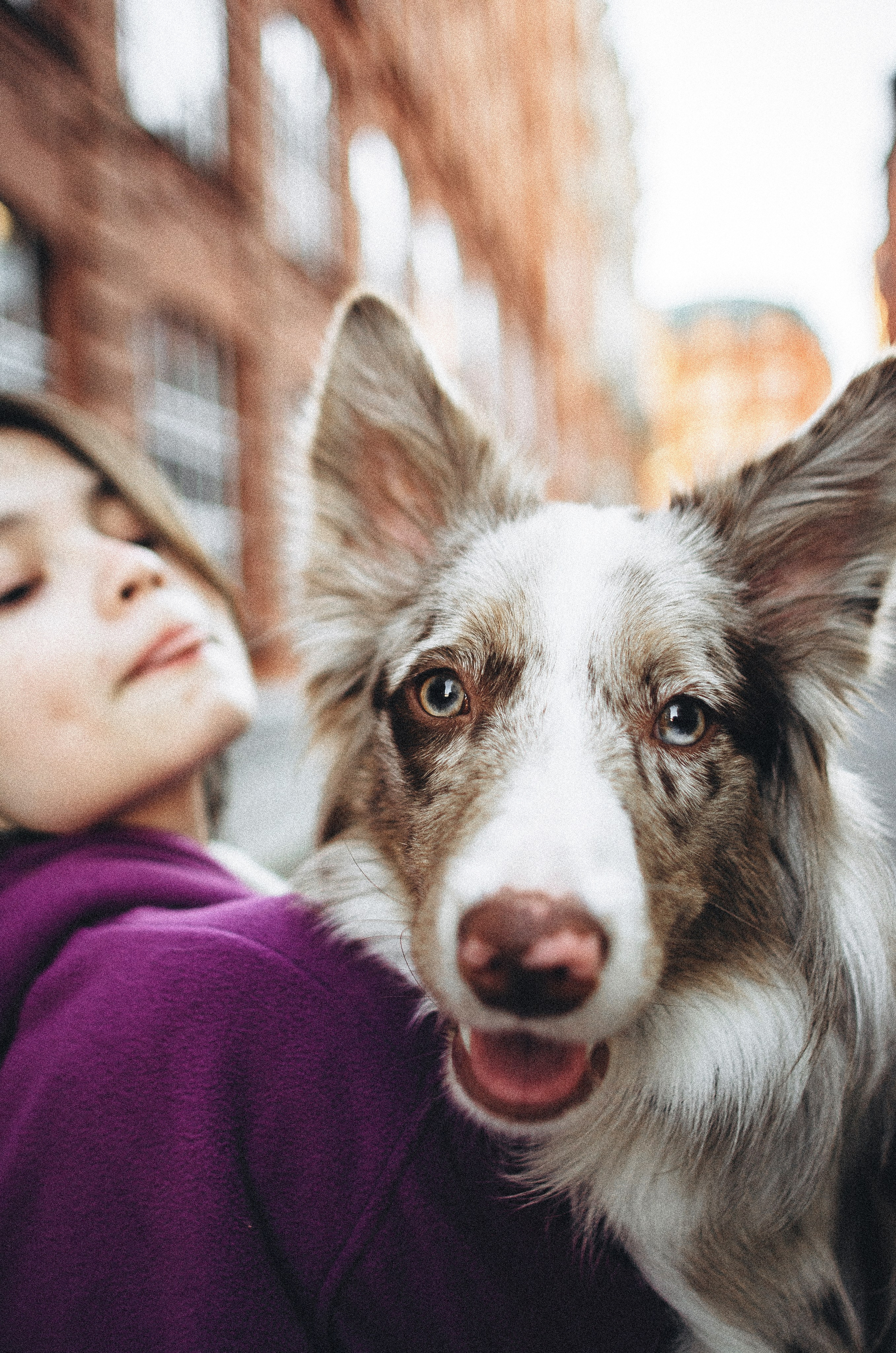 Аня и Дэймон. Фотограф-анималист Богданова Полина