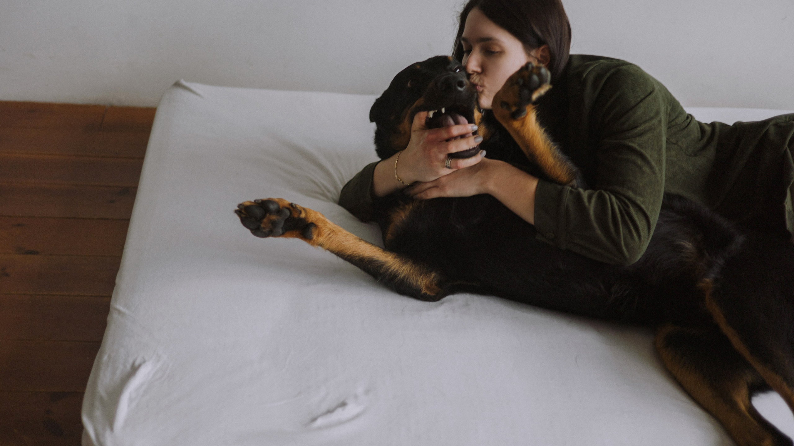 Полина и Зевс. Фотограф-анималист Богданова Полина