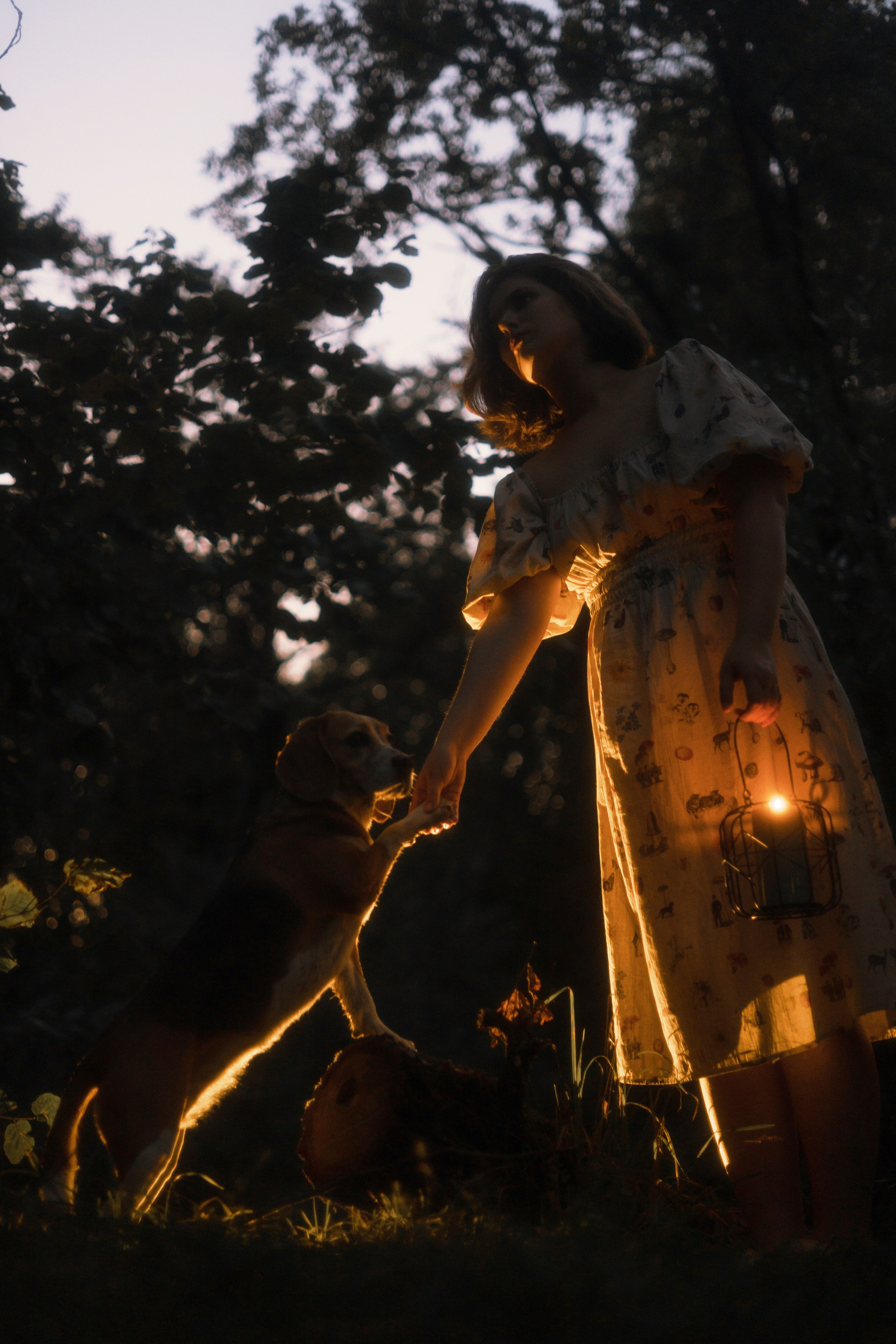 Лиза и Сара. Фотограф-анималист Богданова Полина