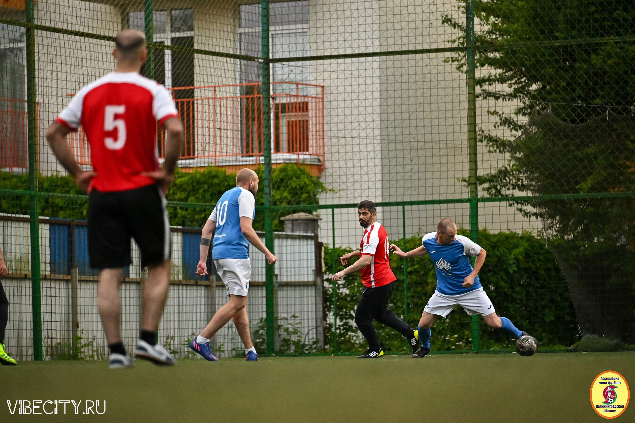 ИГРЫ МИНИ-ФУТБОЛЬНОЙ И КОРПОРАТИВНОЙ ЛИГИ. VIBECITY.RU Вайб Сити Ру Фоторепортажи Фотоотчеты Калининград