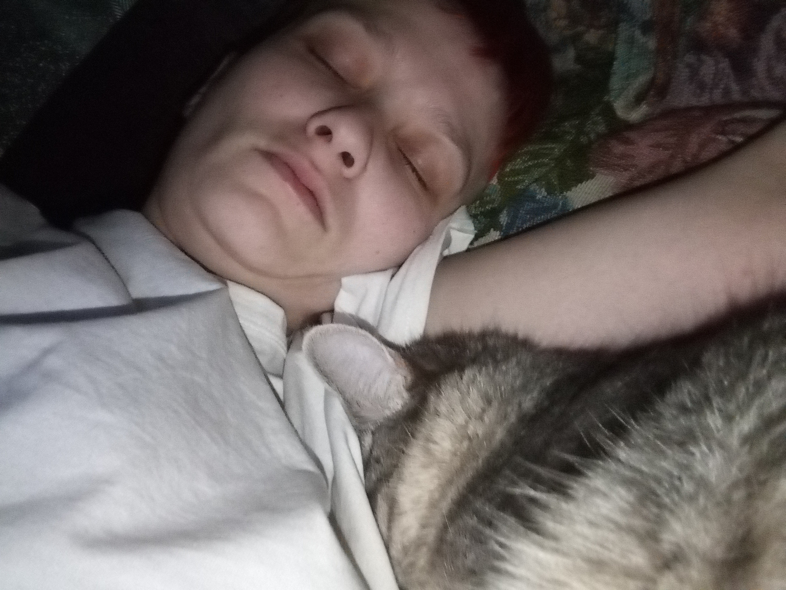 Лучший портет