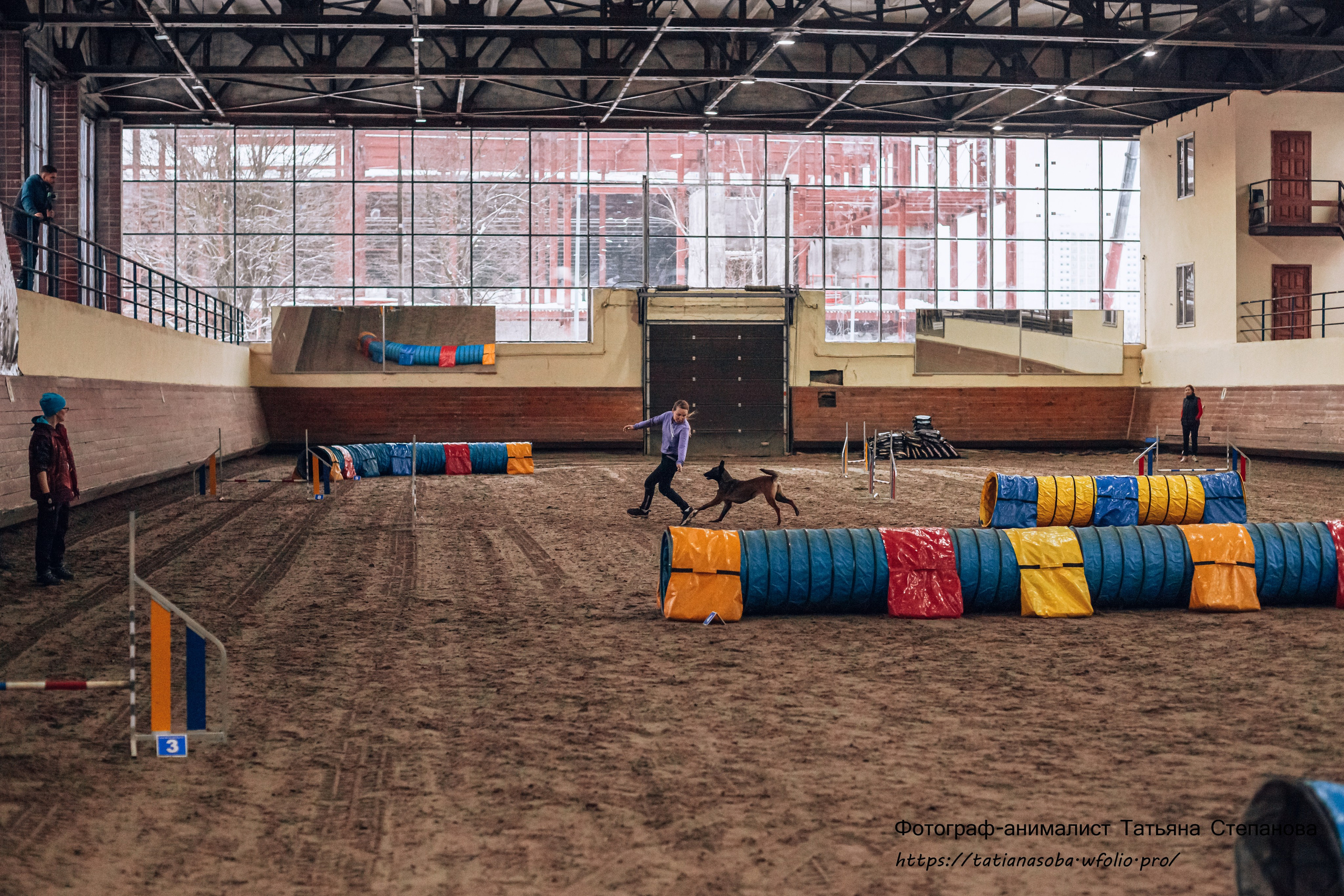Соревнования по Аджилити 25.02.2024. Фотограф-анималист Татьяна Степанова