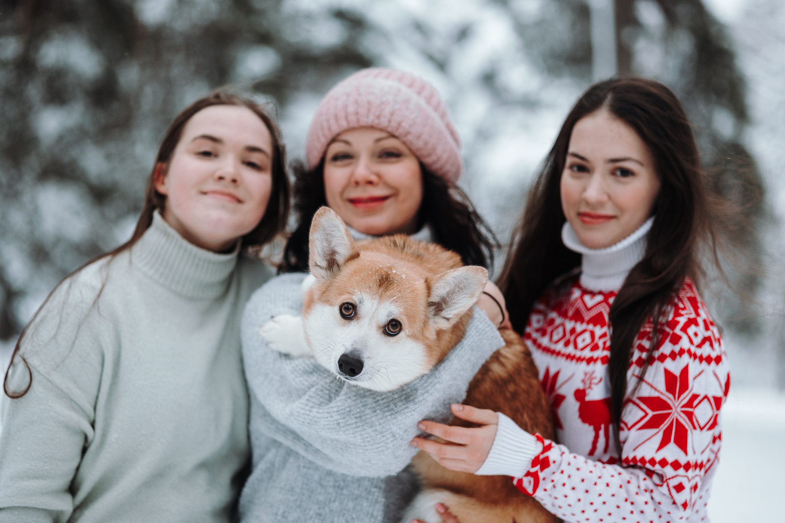 Оливка и ее семья. Фотограф — Анималист | Санкт-Петербург