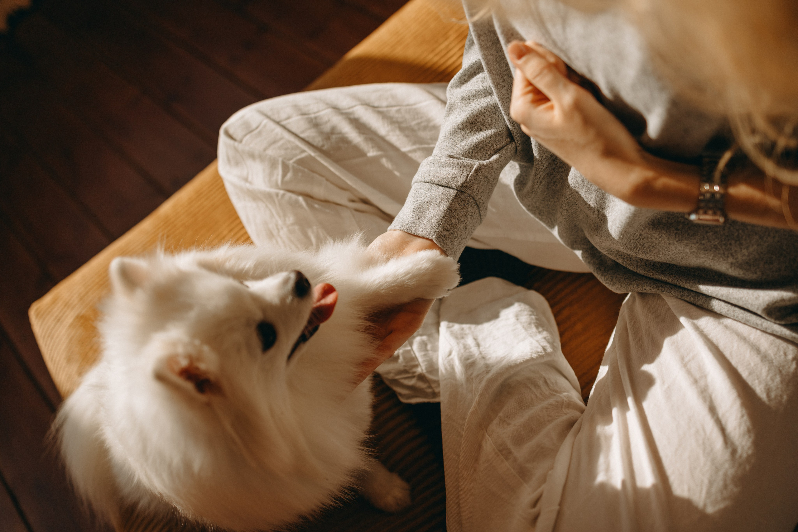 Джесси и ее семья. Фотограф — Анималист | Санкт-Петербург