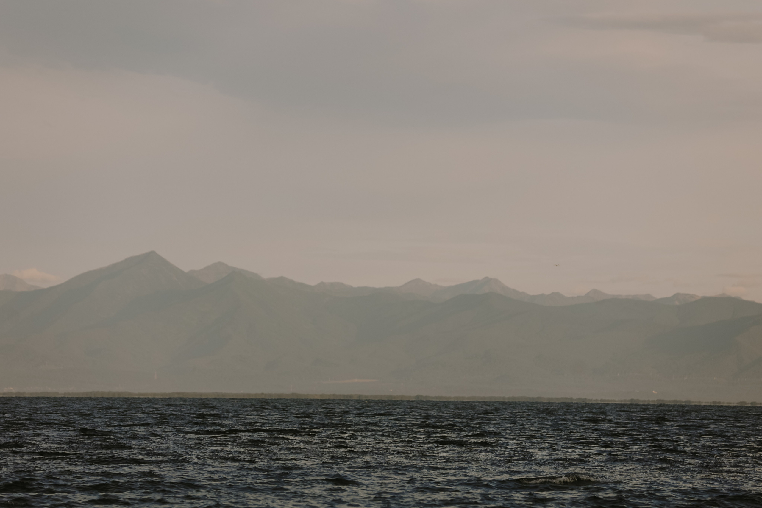 Денис и Настя: свадьба на Камчатке. @dariazphoto свадебный фотограф