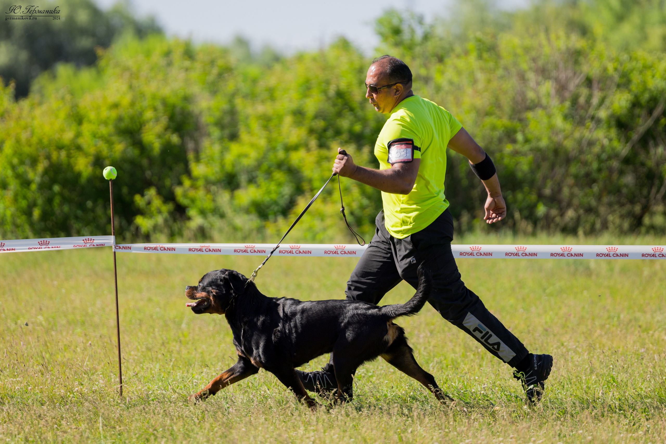 Воронеж моно ротвейлеров 25-26.05.2024. Фотограф-анималист Юлия Германика