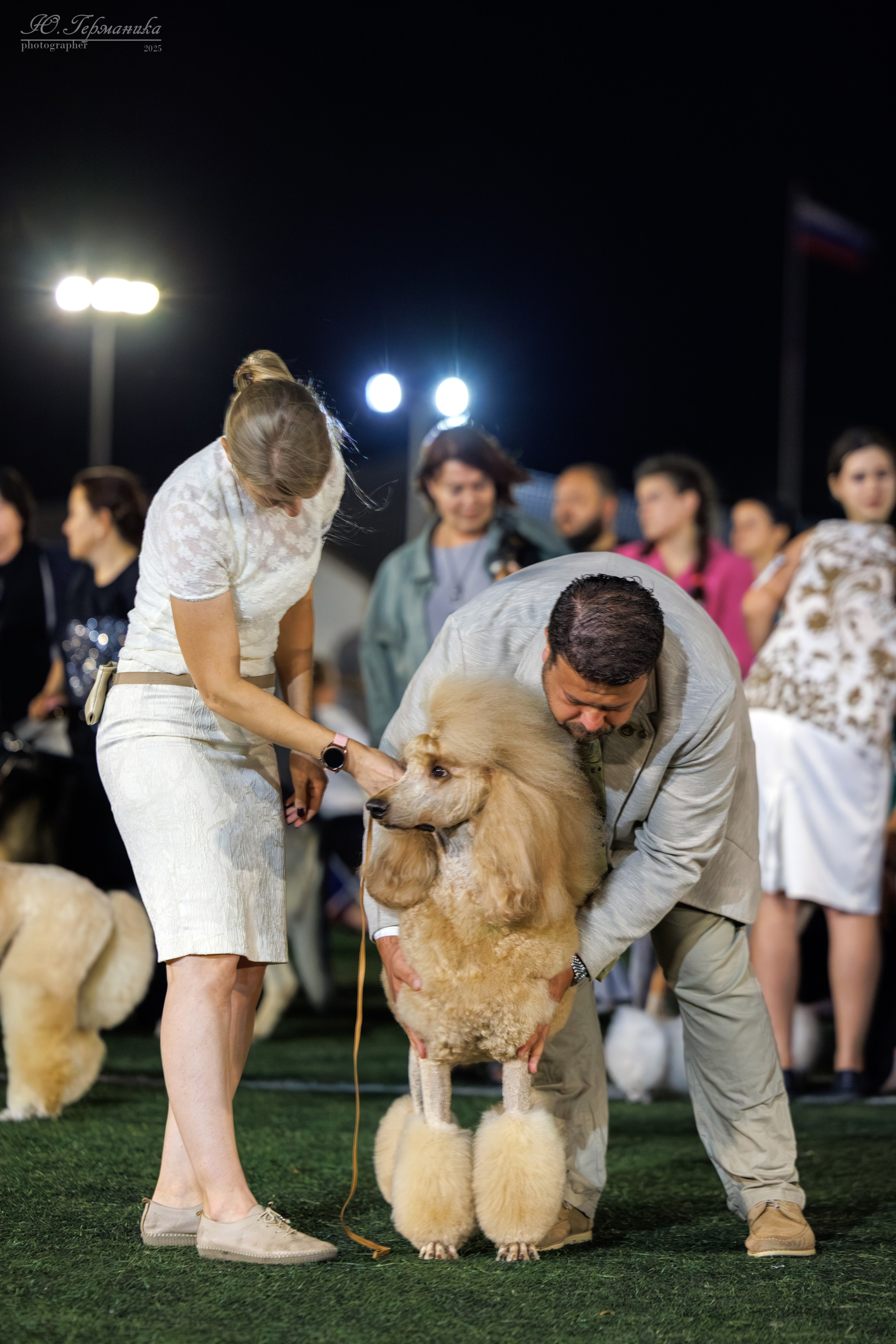 Калининград 25-27.07 Волгоград 1-3.08 2025. Фотограф-анималист Юлия Германика
