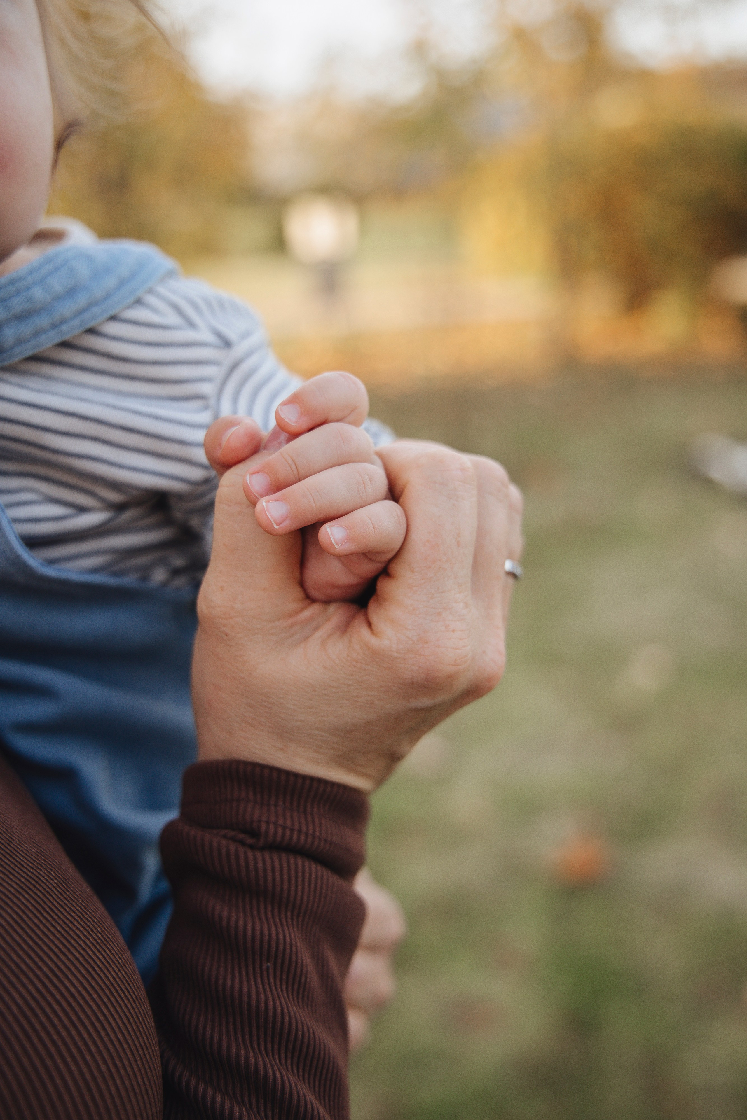 Наша теплая осень. Фотограф Новосибирск