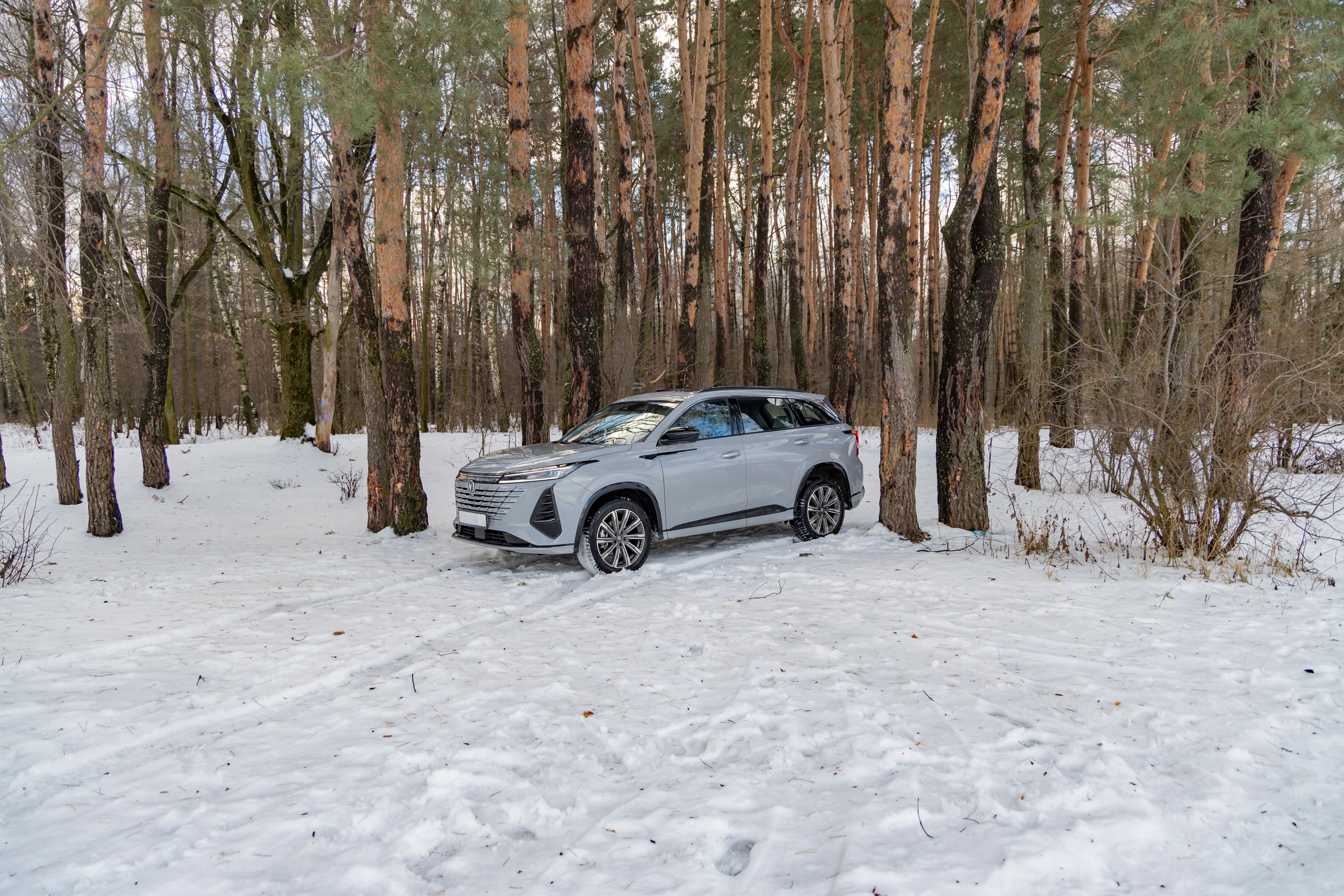 Changan cs75 plus. Репортажный, семейный и студийный фотограф в Москве Демин Алексей