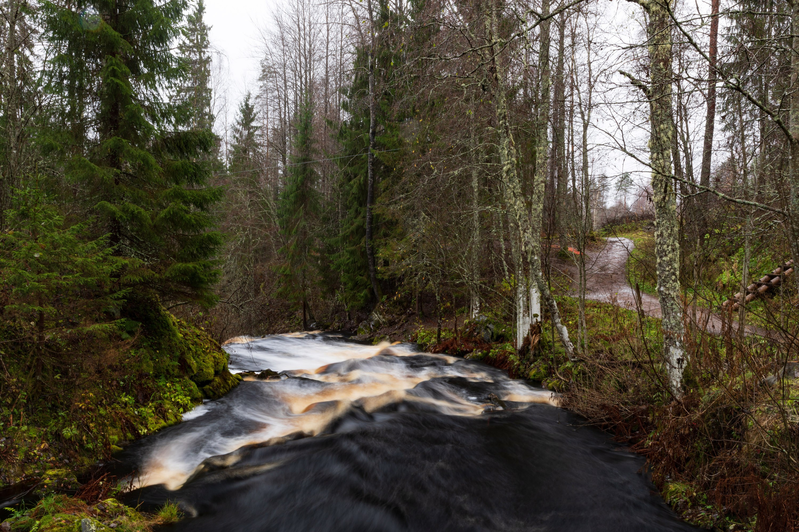 Большое путешествие в Карелию на машине. Марина Захарова — Фотограф. Москва / Marina Zakharova — Photographer
