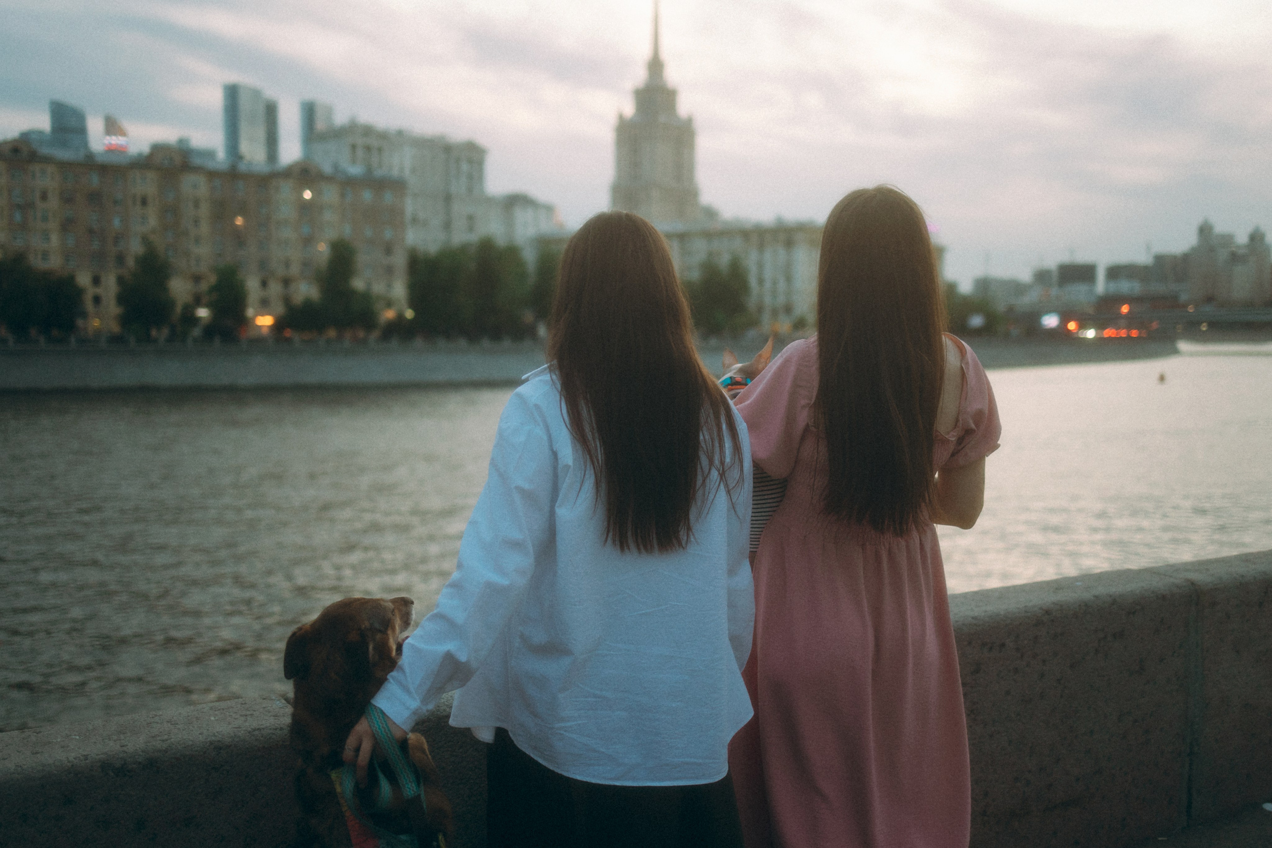 Глаша, Айрон, Ксюша и Оля. Фотограф анималист Анастасия Пикей