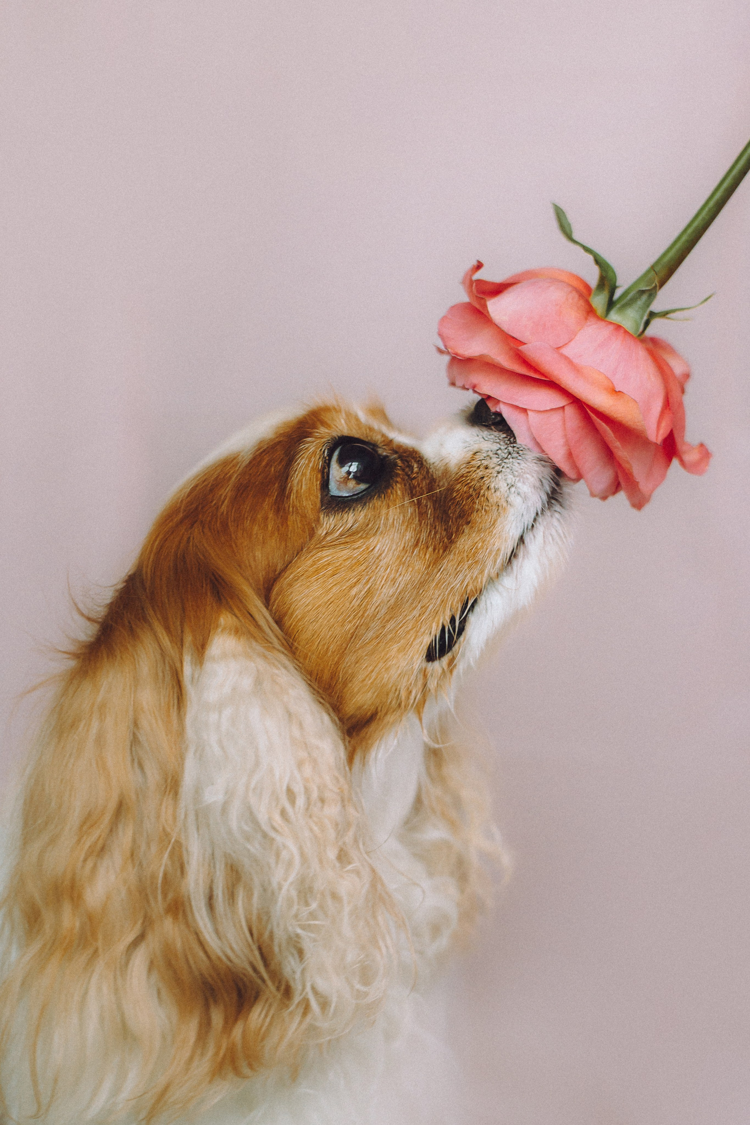 Наташа и Вики