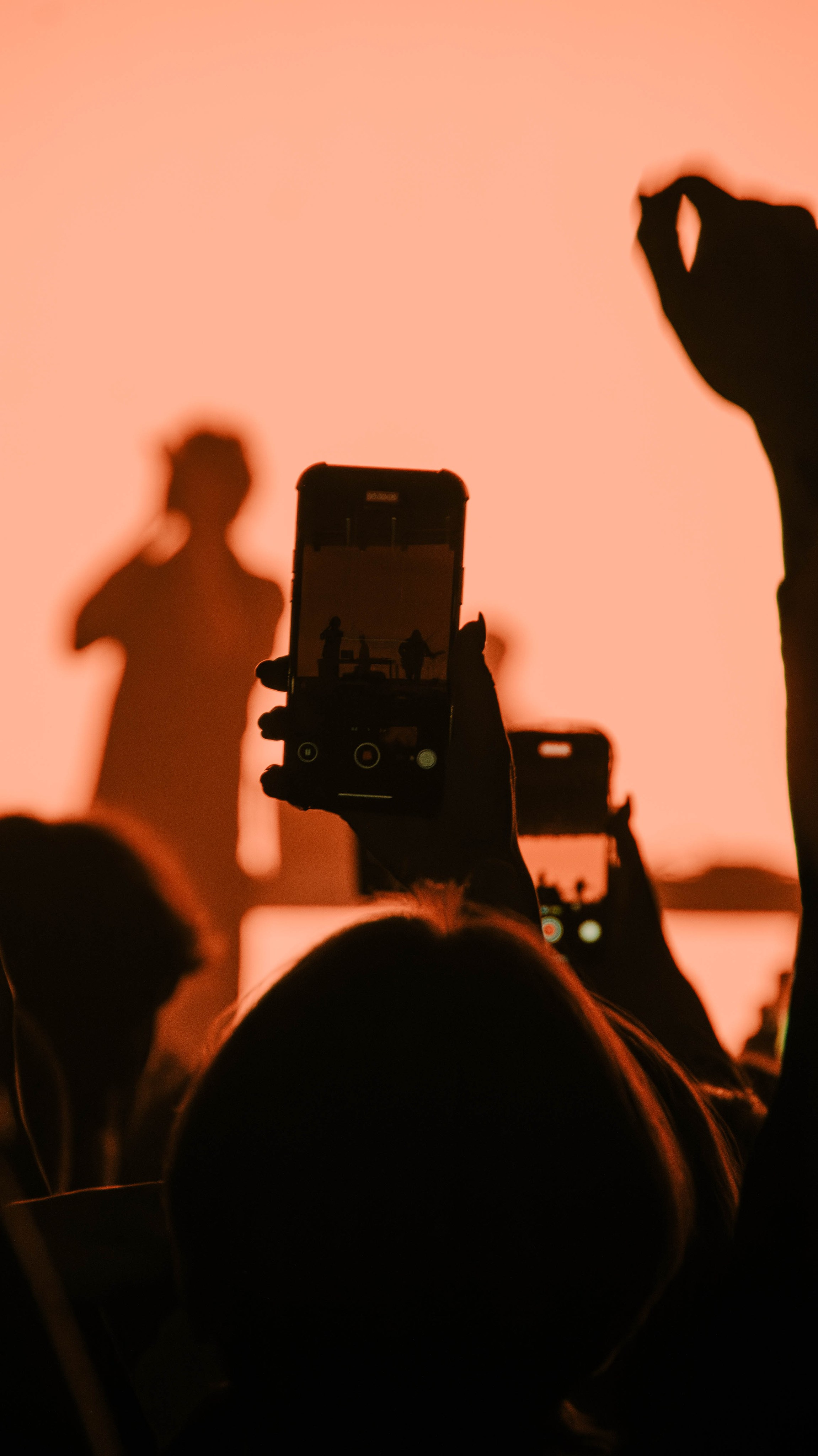 Cold carti. Фотограф montefrioree