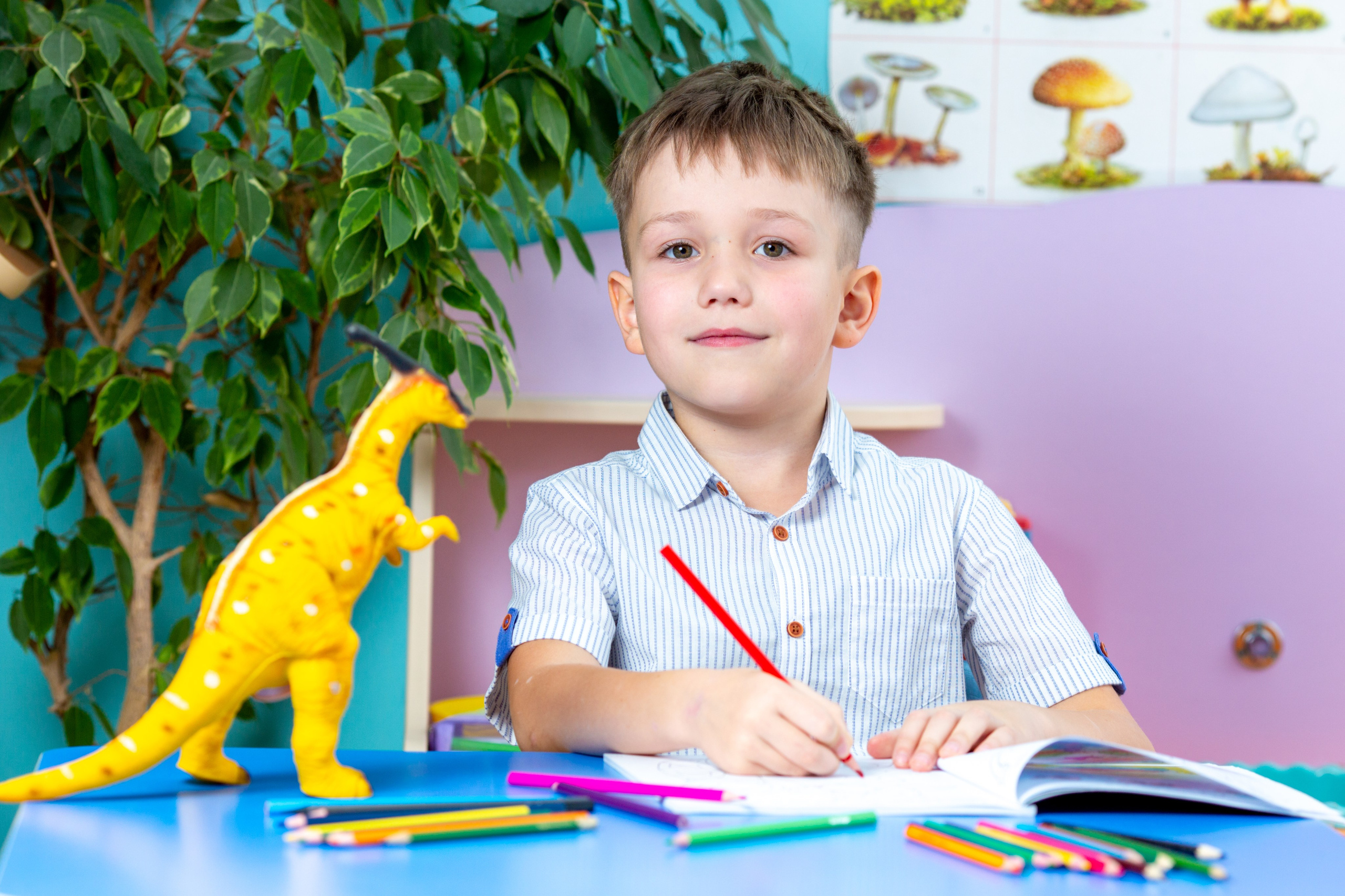 Фотосъемка выпускников в детских садах. Фотограф Антонина Свешникова. ВЫПУСКНЫЕ ФОТОКНИГИ для детских садов и школ. Москва, Владимир