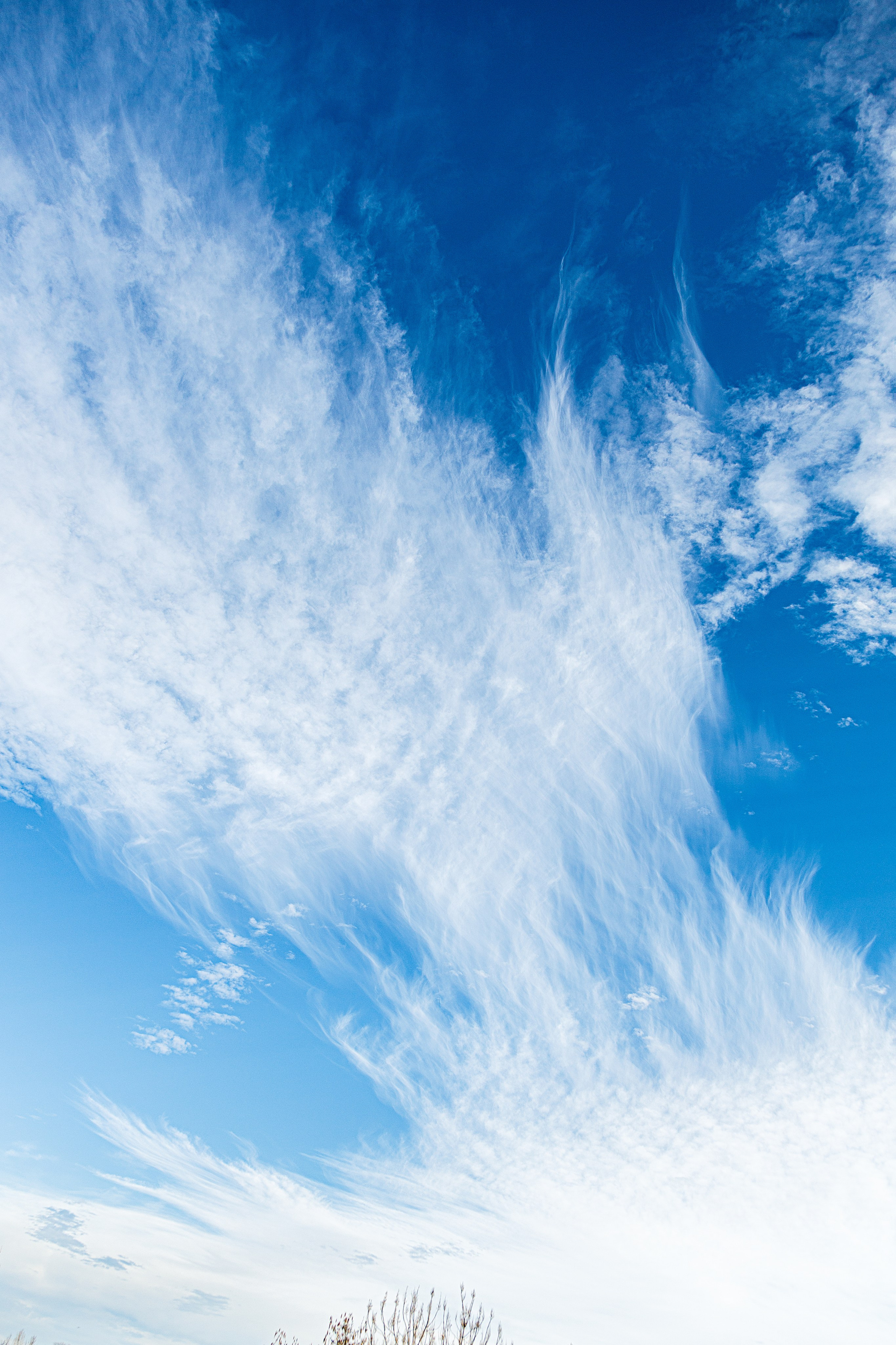 Проект «366»|2024|Фото каждый день. LENA GRACE photographer ||ЛЕНА ГРЭЙС фотограф