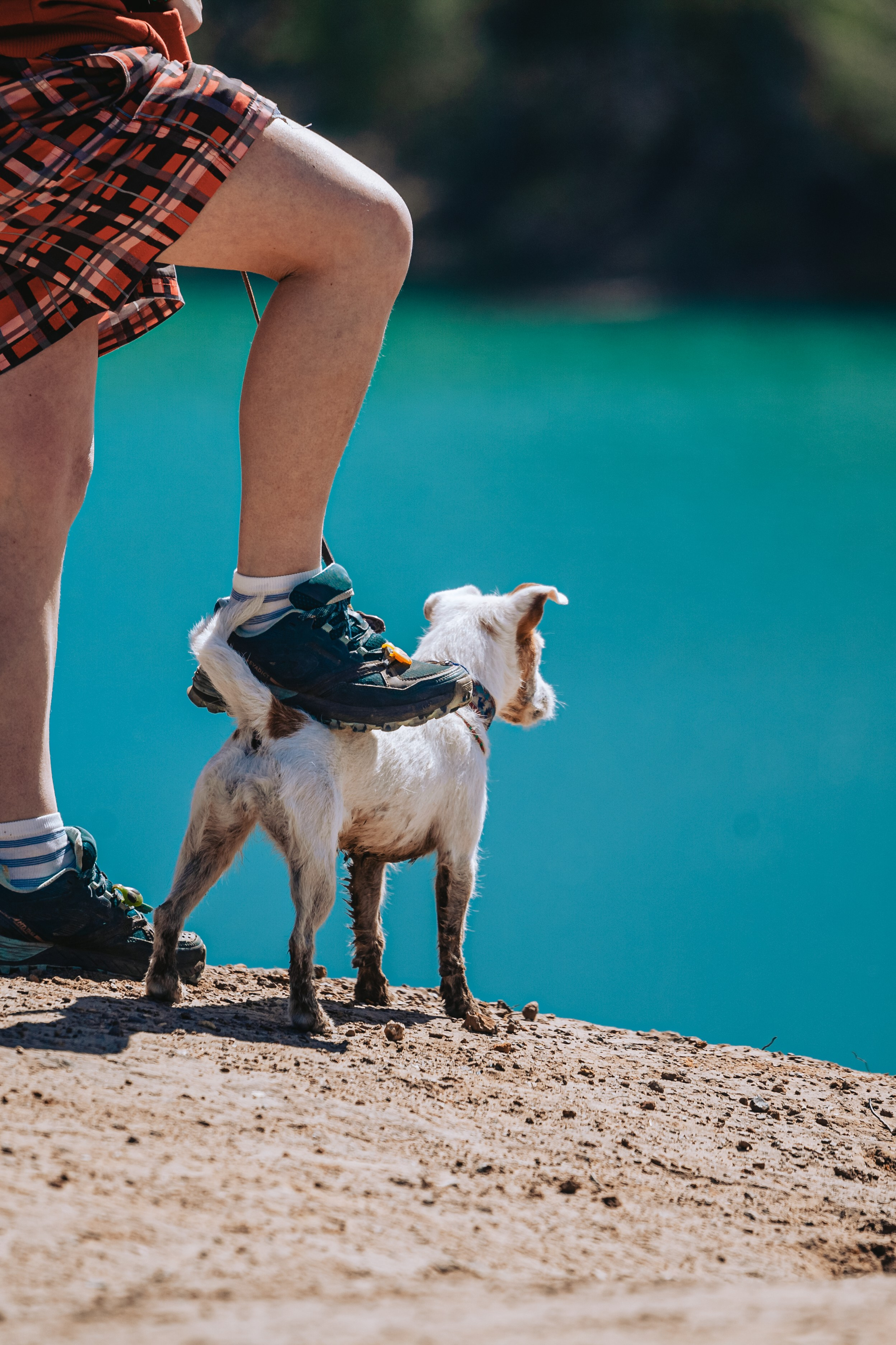 Кондуки. Фотограф-анималист Татьяна Степанова