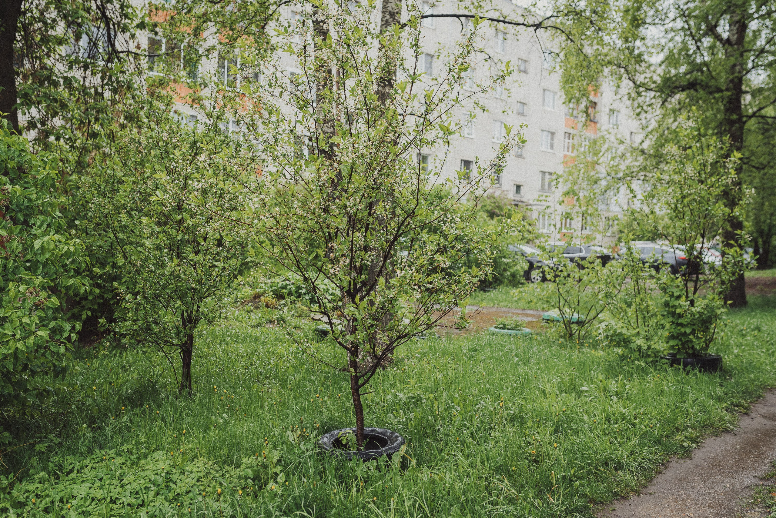 Фотопроект «ЯШина». Документальный фотограф Илья Тихановский