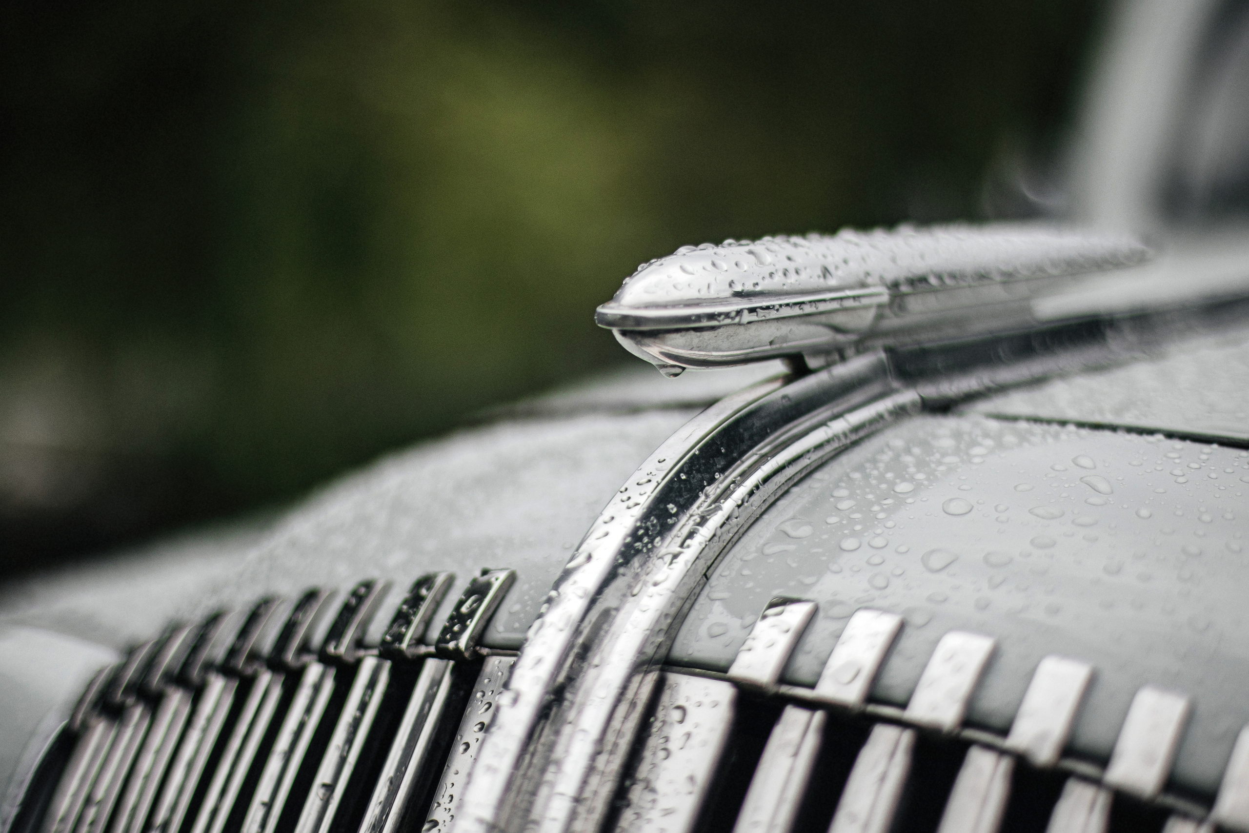 Влад и Виктория. Свадебный фотограф в Ростове-на-Дону Олег Майер