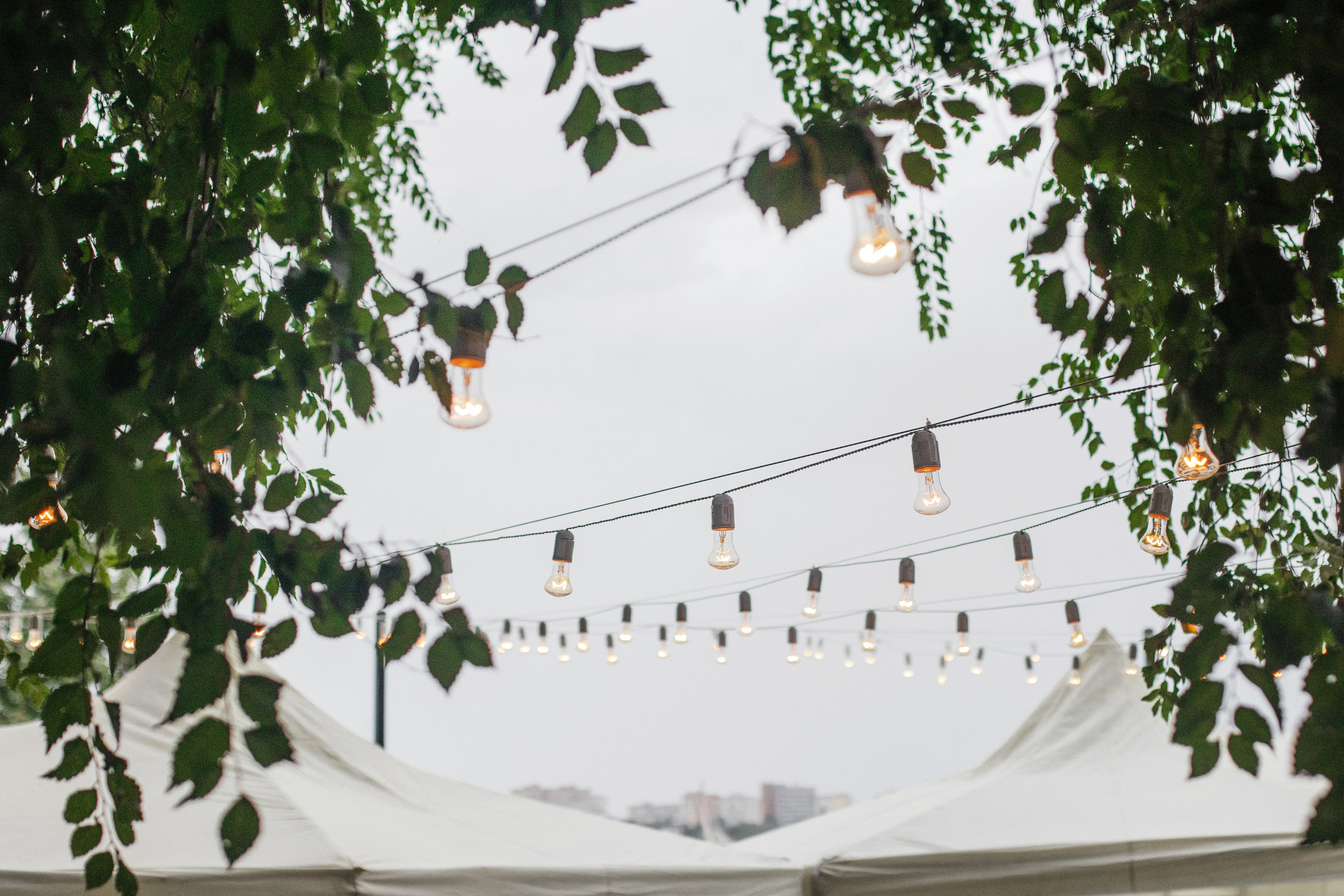 Влад и Виктория. Свадебный фотограф в Ростове-на-Дону Олег Майер