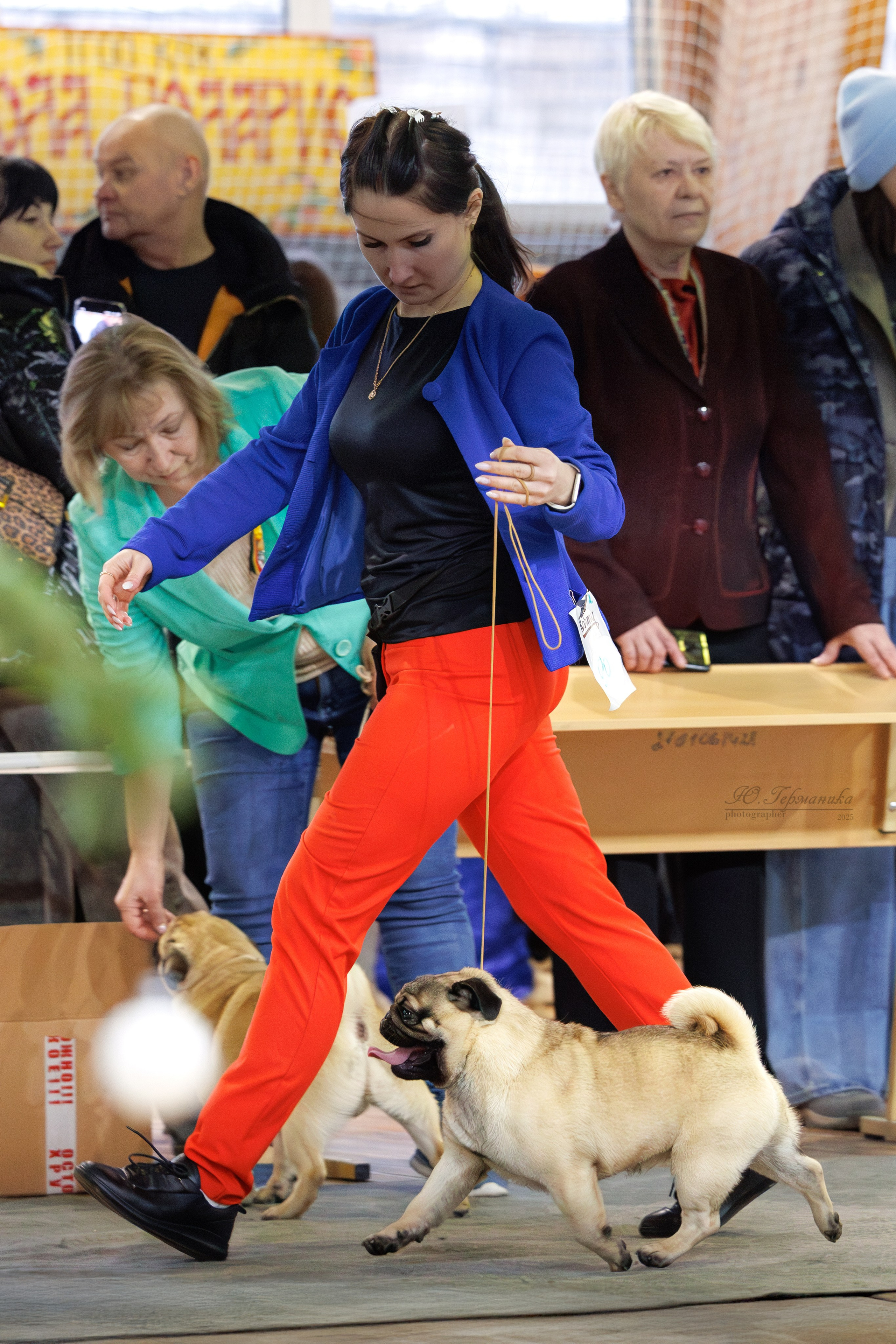 Тверь 21.12.2025. Фотограф-анималист Юлия Германика