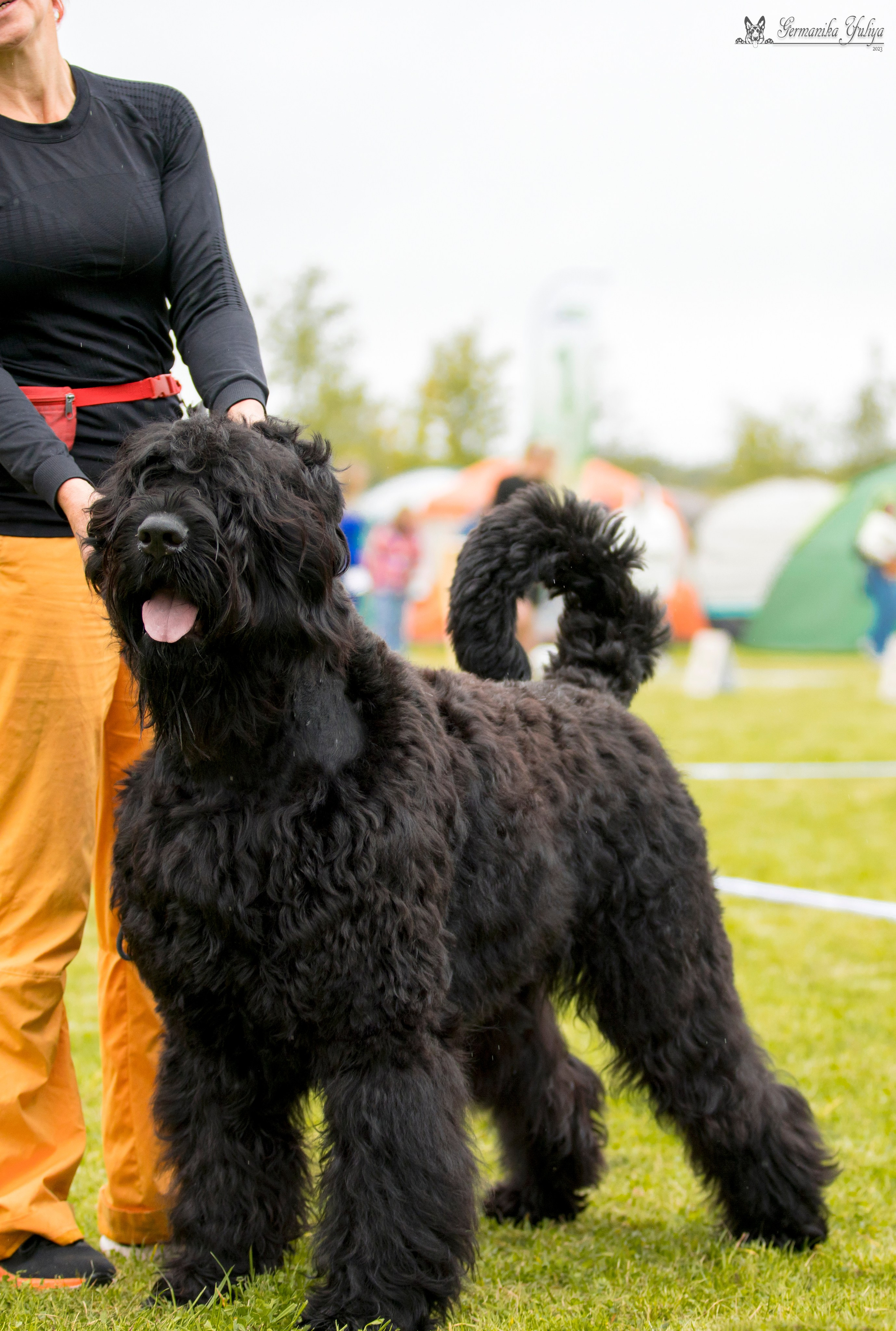 Переславль 9-10.09.2023. Фотограф-анималист Юлия Германика