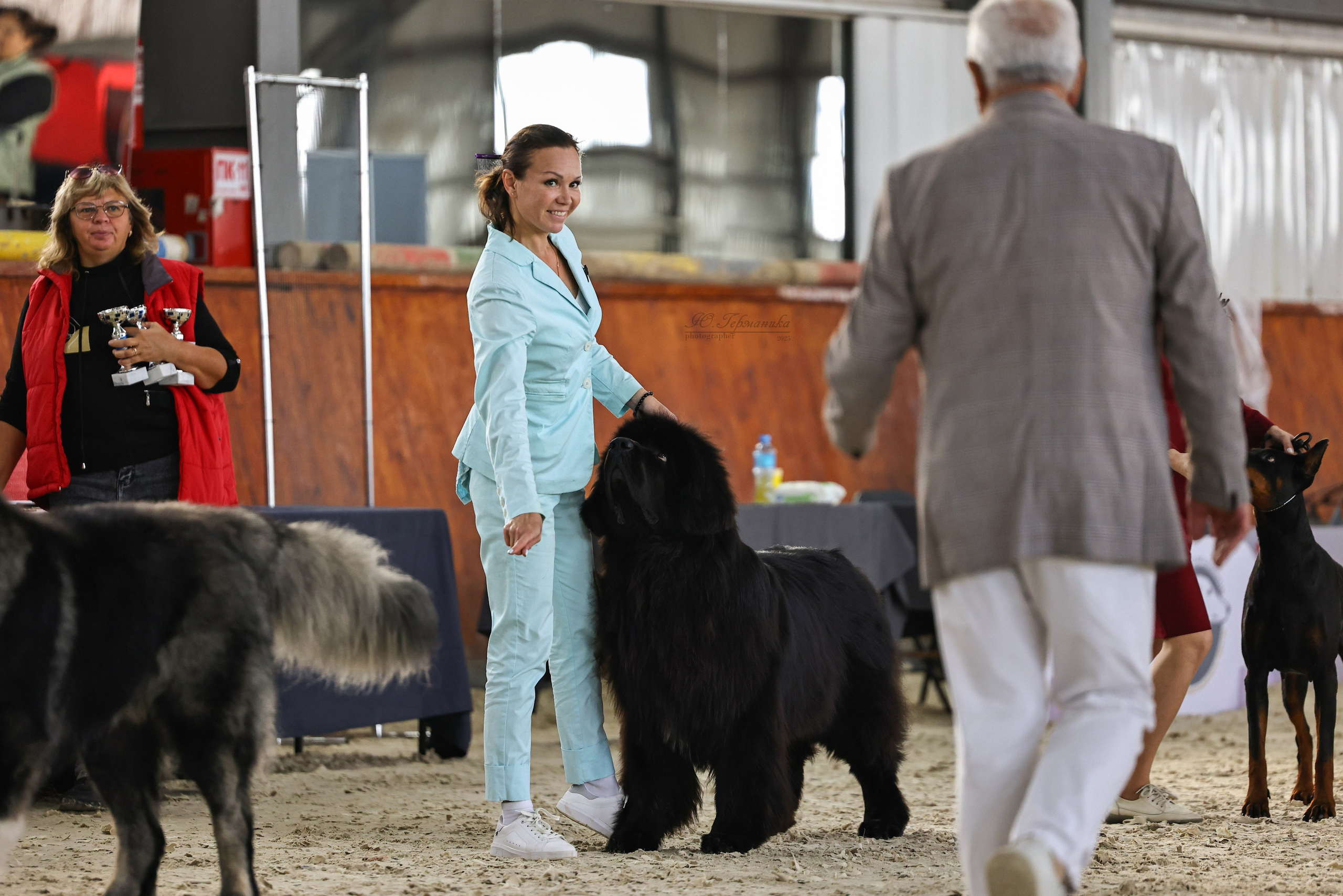 Астана 2хCACIB 26-28.09.2025. Фотограф-анималист Юлия Германика