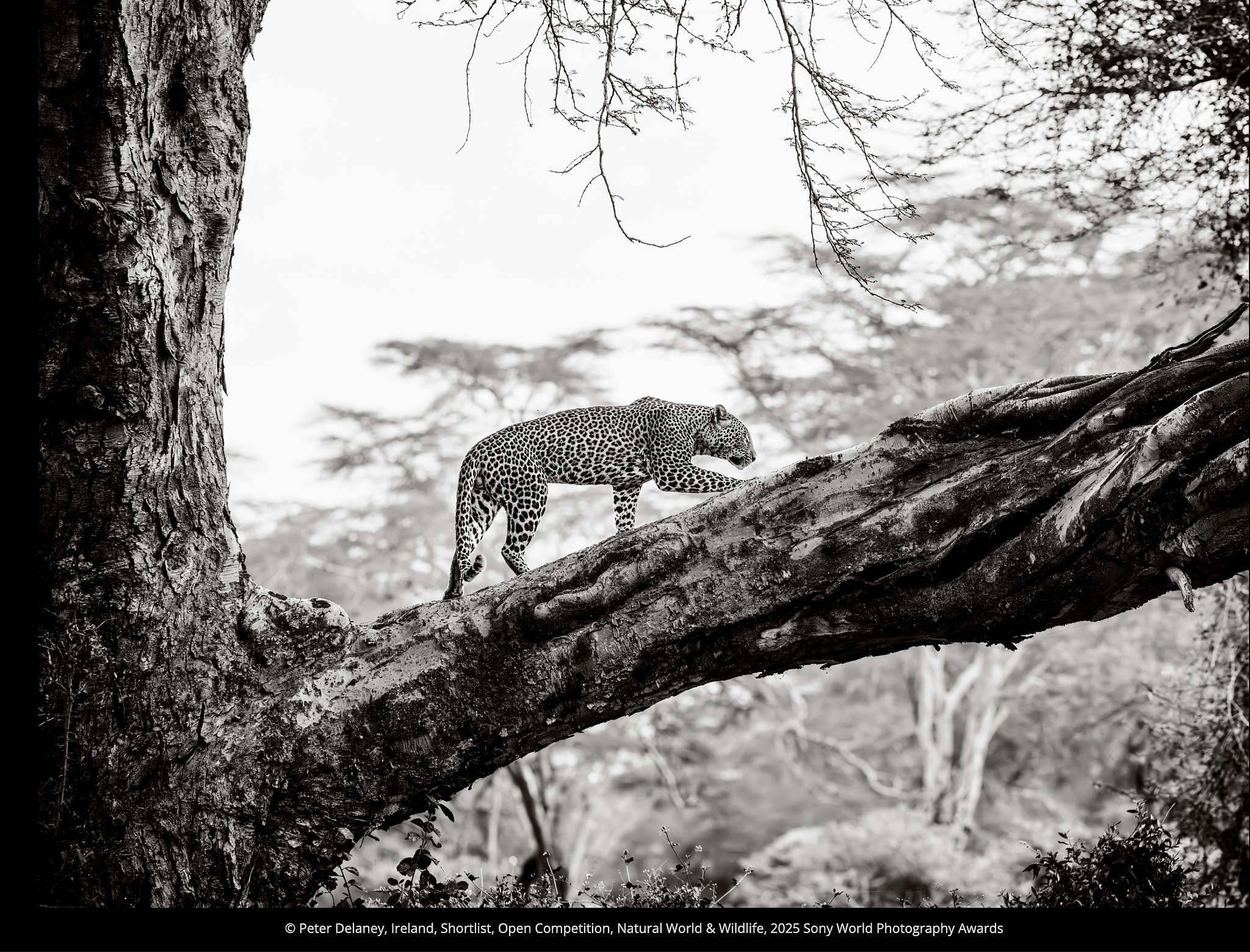 Блог для фотографов и заказчиков. Фотограф Михаил Мордасов, Сочи. Мероприятия, портреты, спорт, репортаж