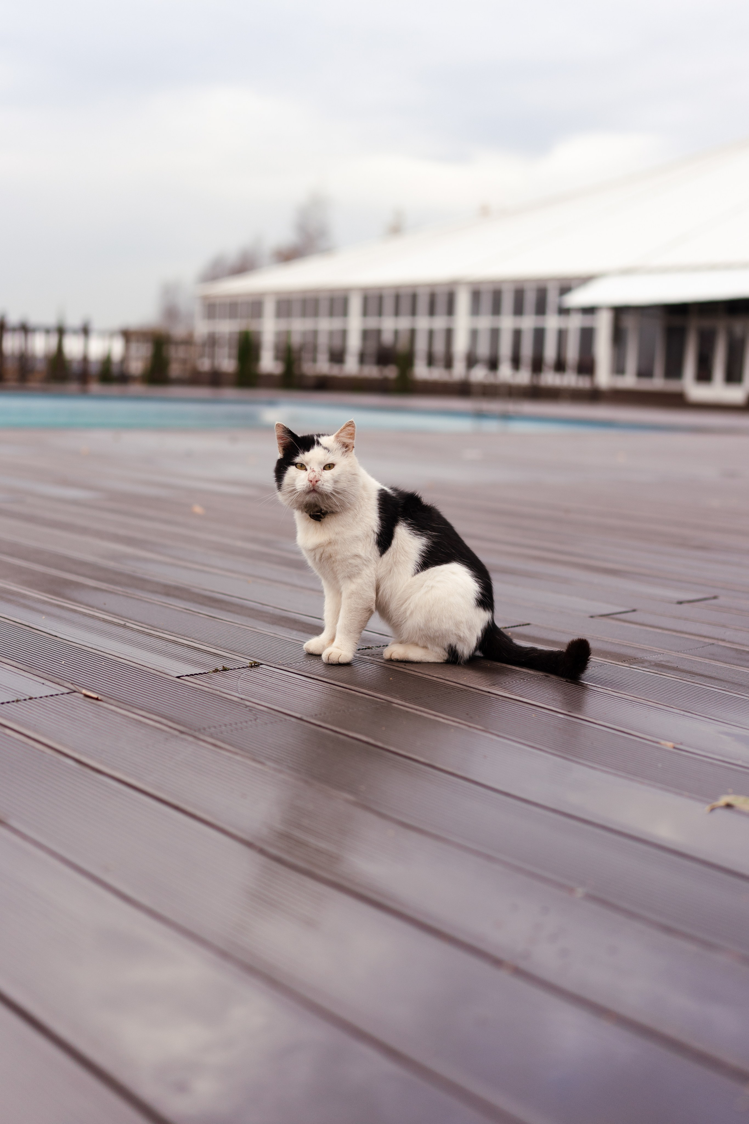 Fitment event 2023. Фотограф в СПБ Алмаз Камаев