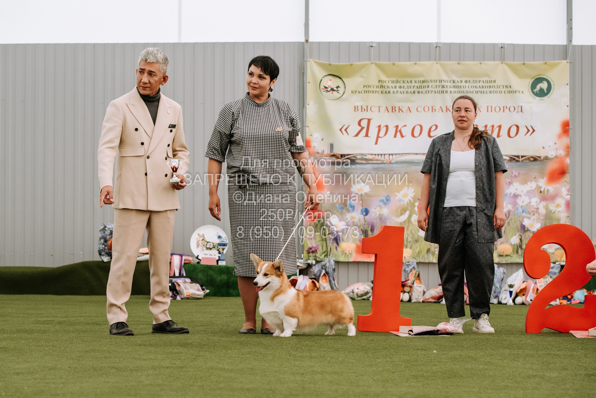 Выставка собак Красноярск 2.06. Фотограф Диана Оленина Красноярск / Братск