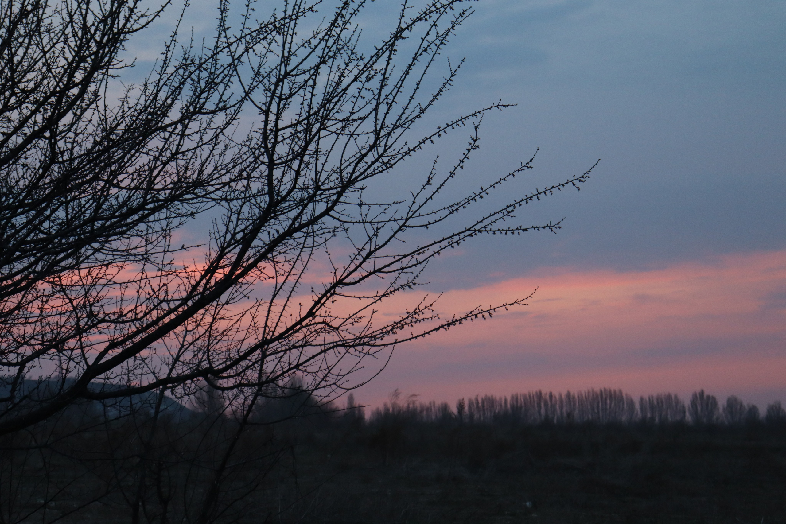 Muras-resort. Фотограф
