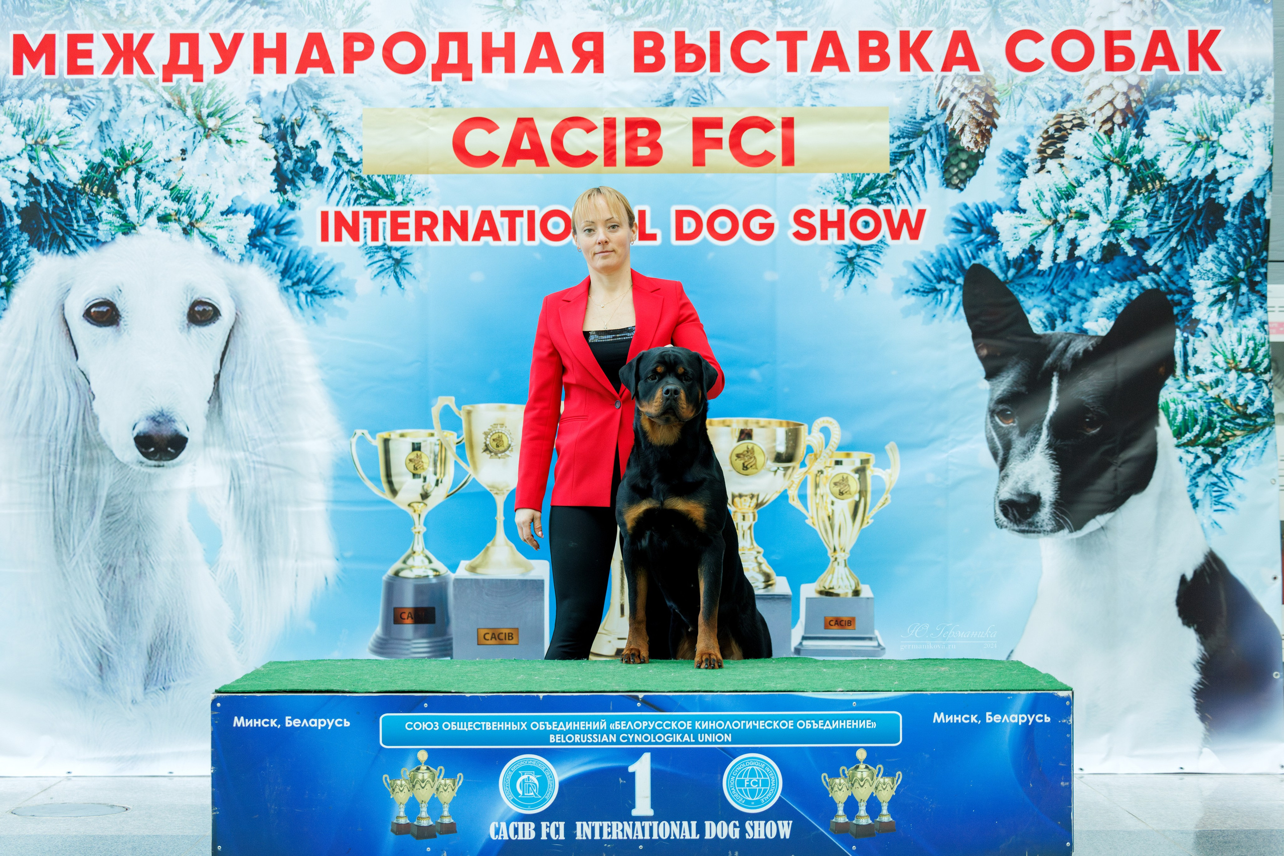 Минск 23.11.2024. Фотограф-анималист Юлия Германика