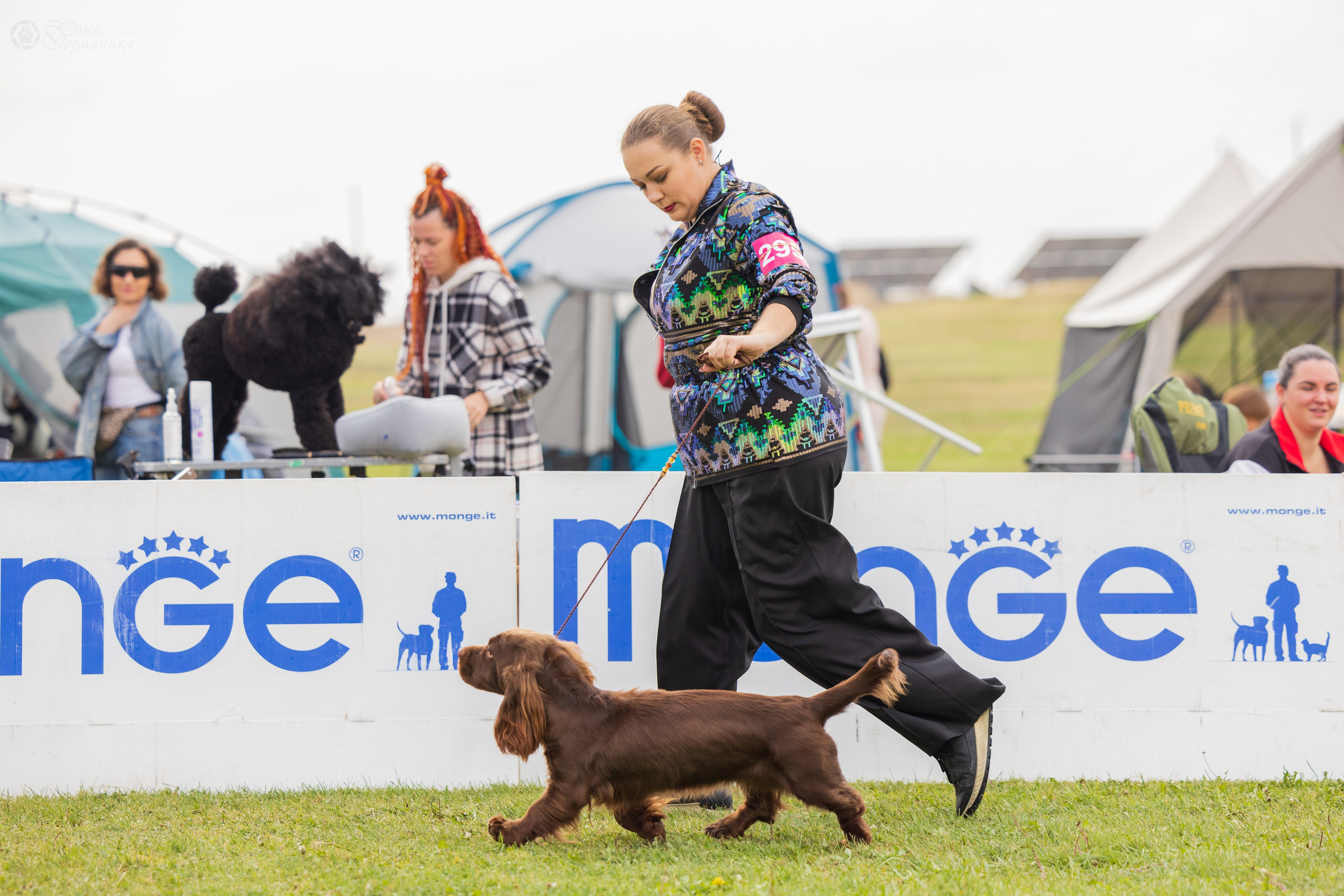 Армения,Ереван 3хCACIB 15-17.10.2024. Фотограф-анималист Юлия Германика