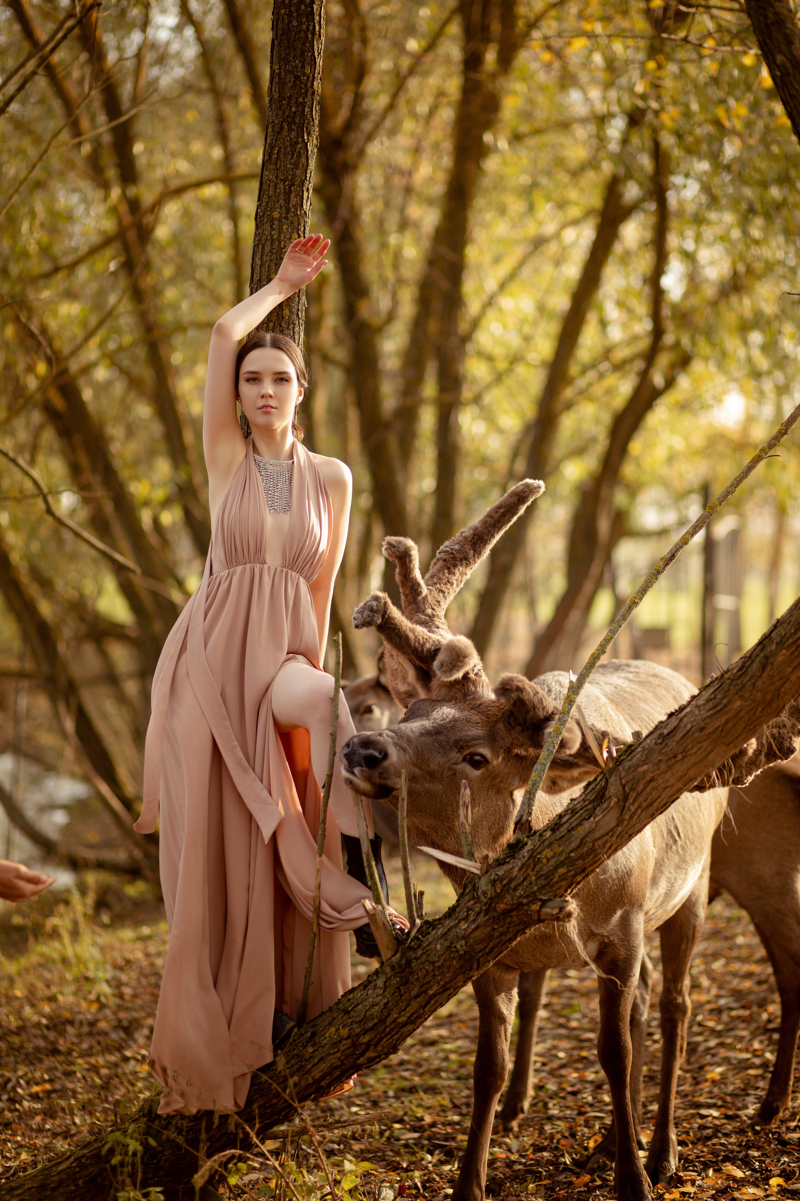 Девушка в лесу стоит возле оленя, подняв над головой правую руку.