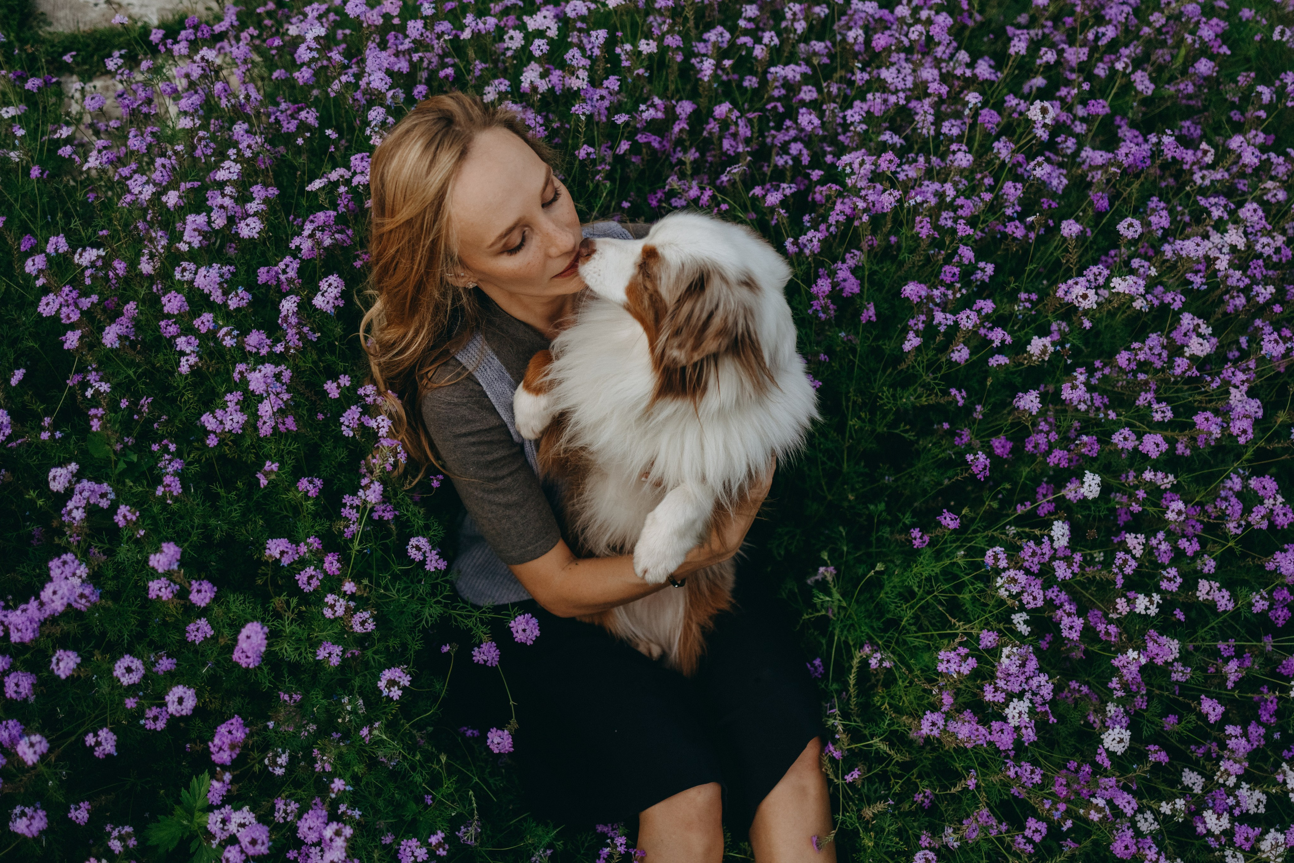 Маша и Эклер. Фотограф — Анималист | Санкт-Петербург