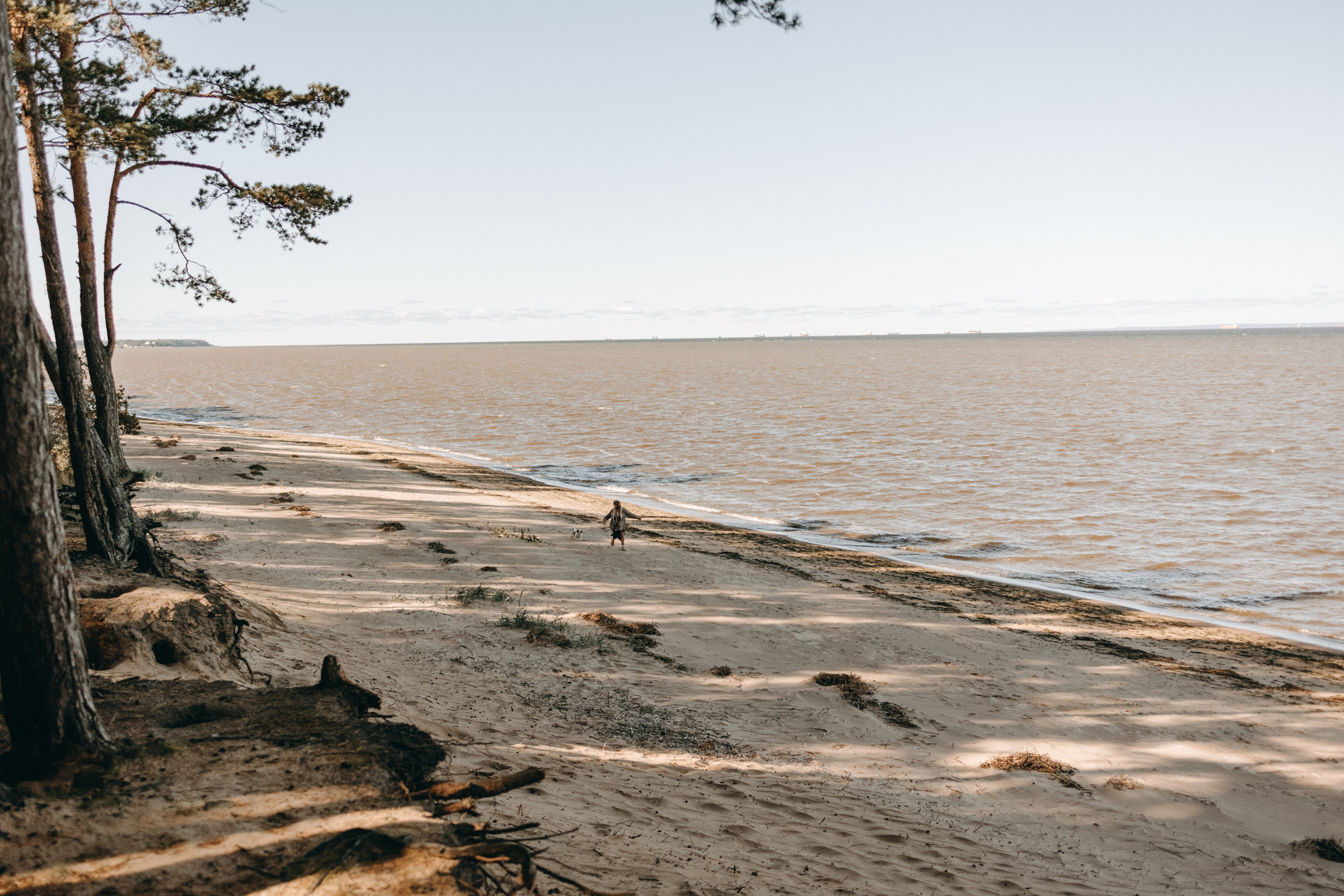 Настя и Франт. Фотограф — Анималист | Санкт-Петербург