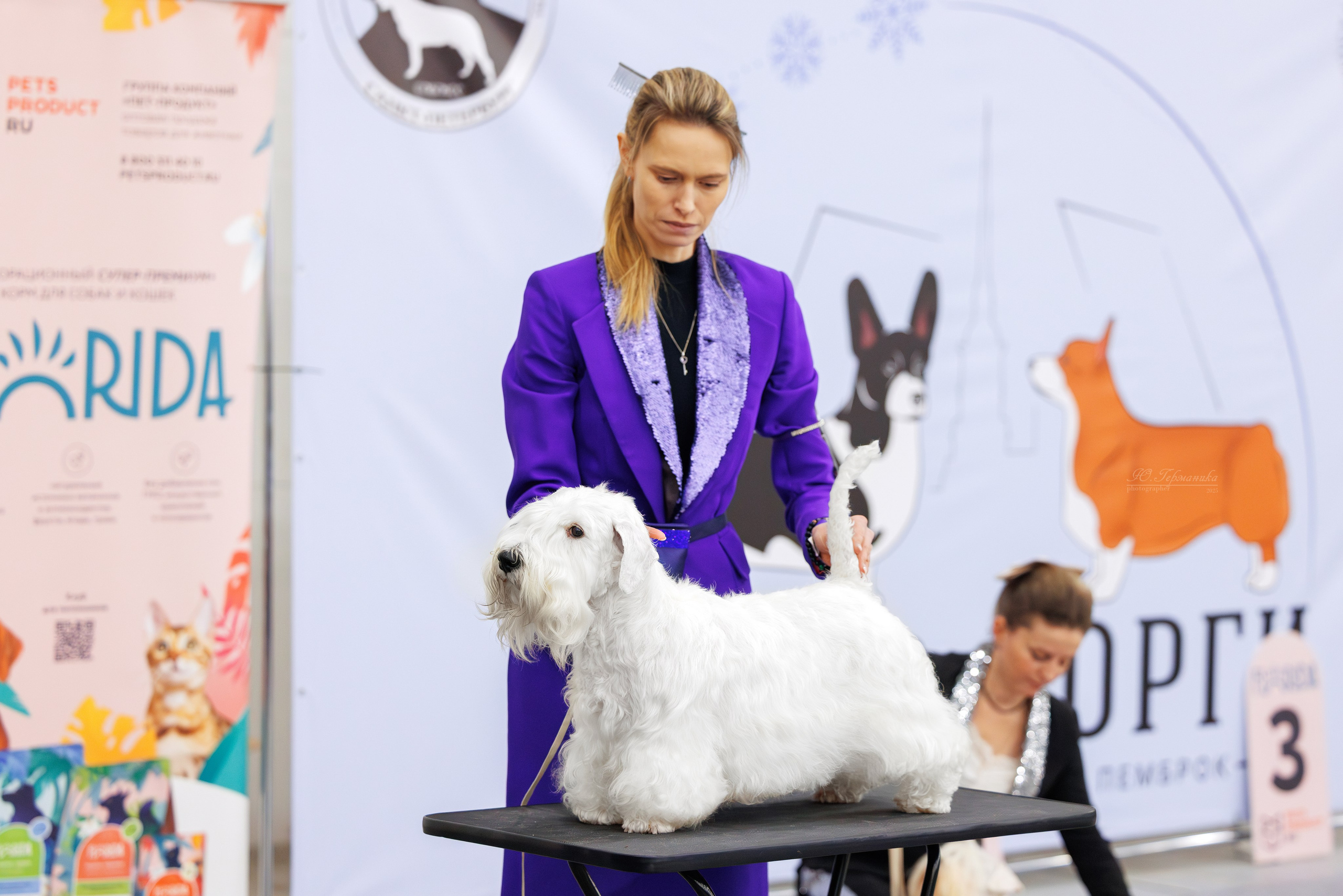 Питер 12-13.12.2025. Фотограф-анималист Юлия Германика