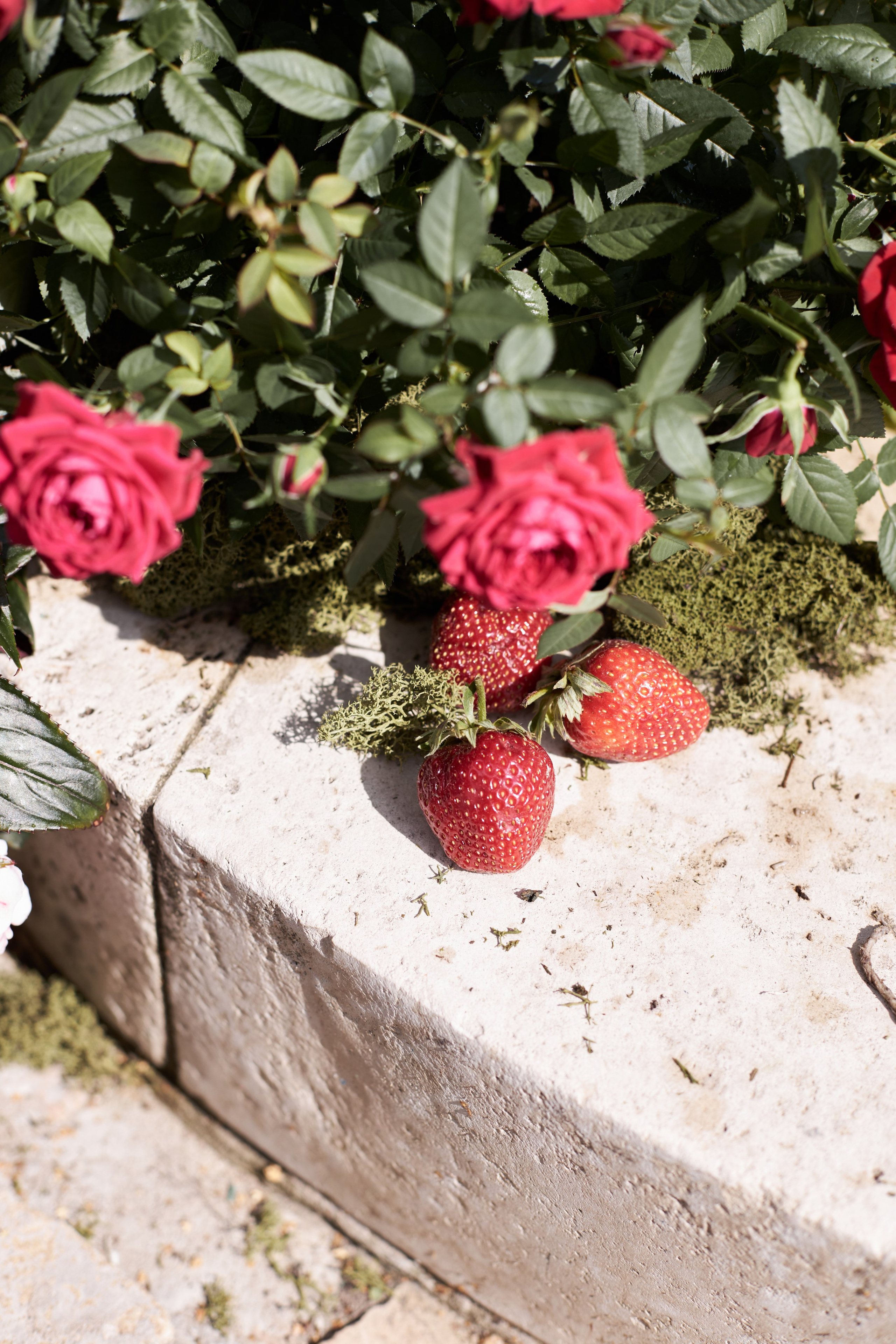 Amore italiano. Свадебный фотограф в Москве Ольга Коржова