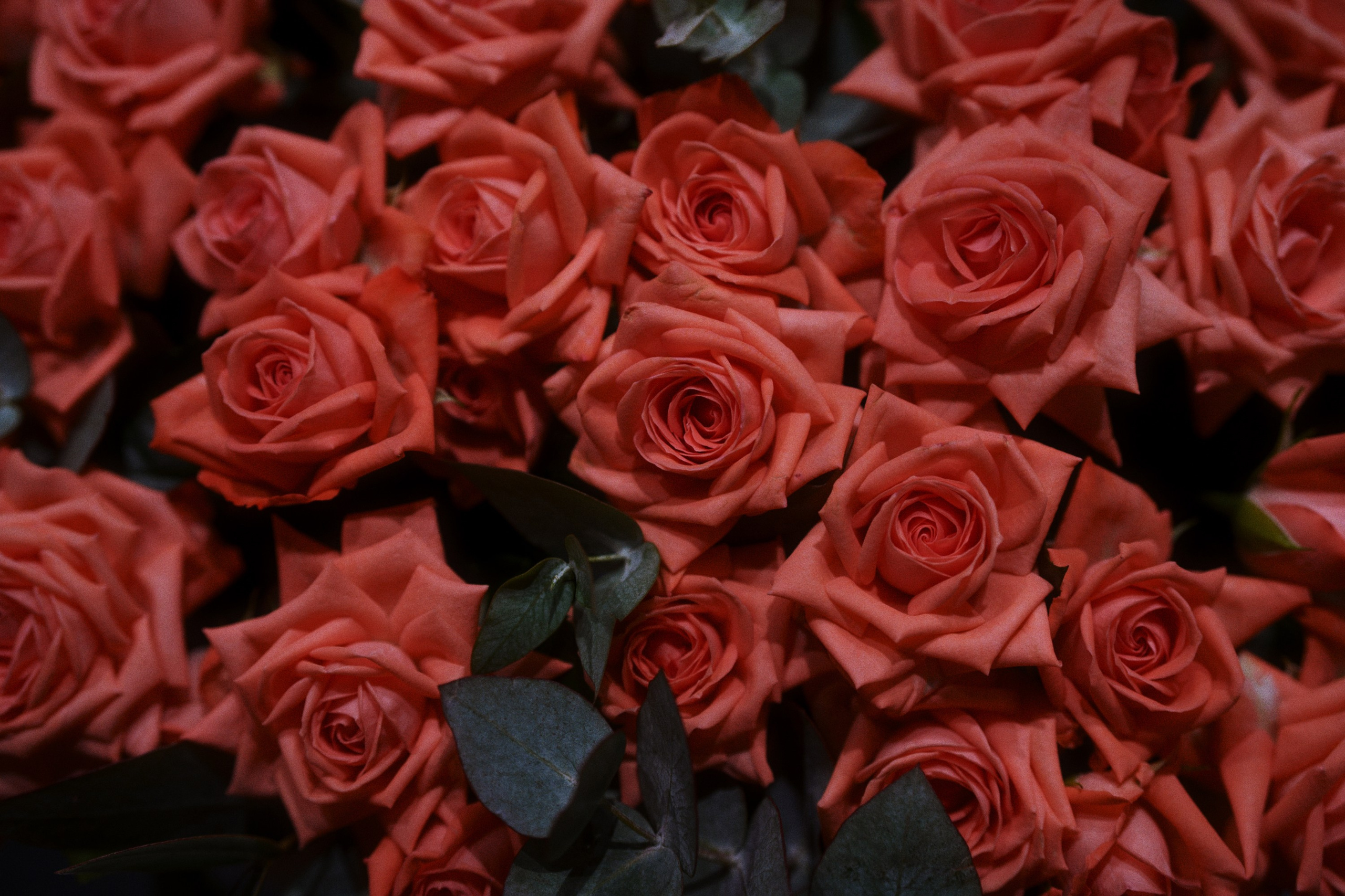 Vomi / opening (halloween). Фотограф Юрин Евгений