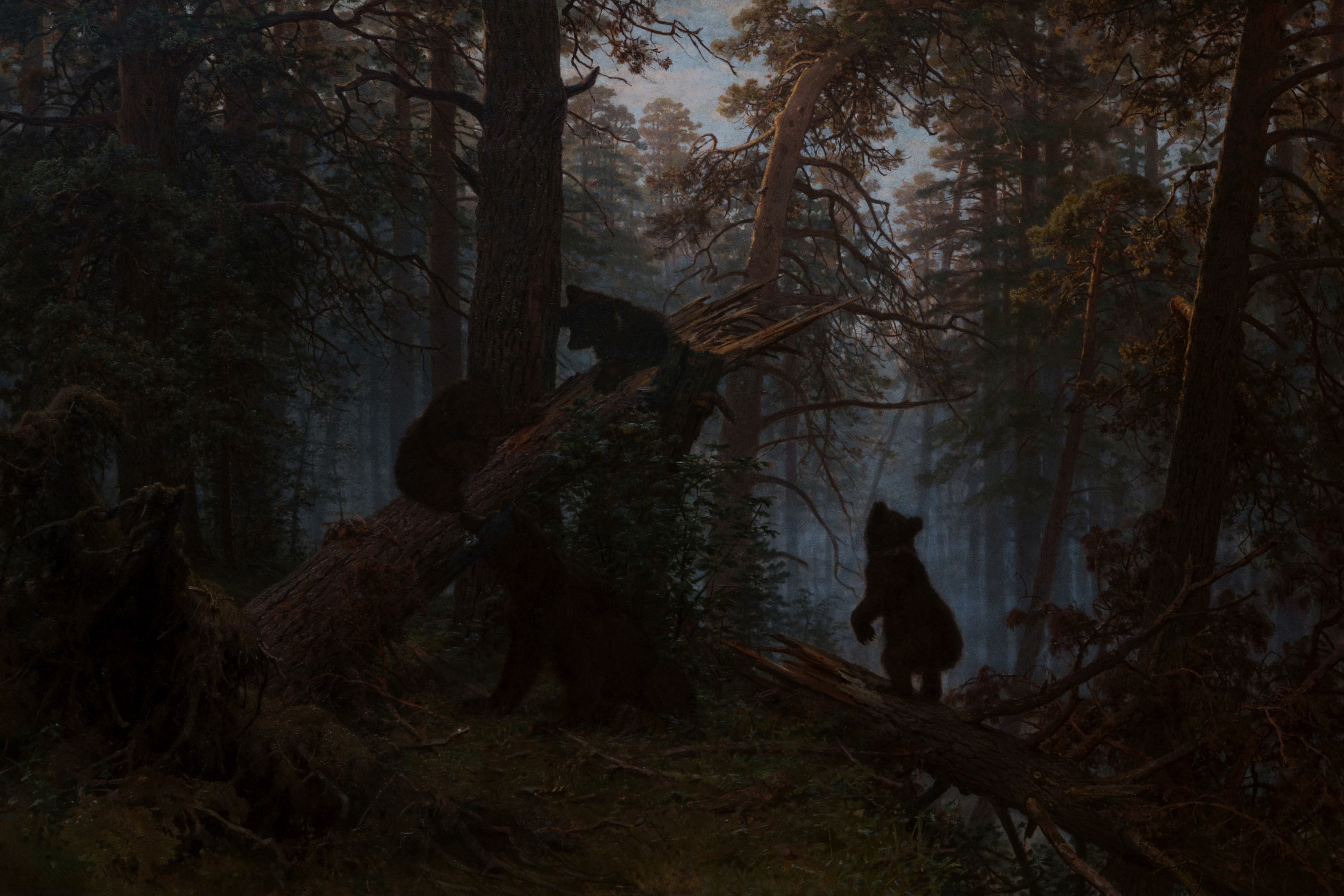 The Tretyakov Gallery / Moscow SS25. Фотограф Юрин Евгений