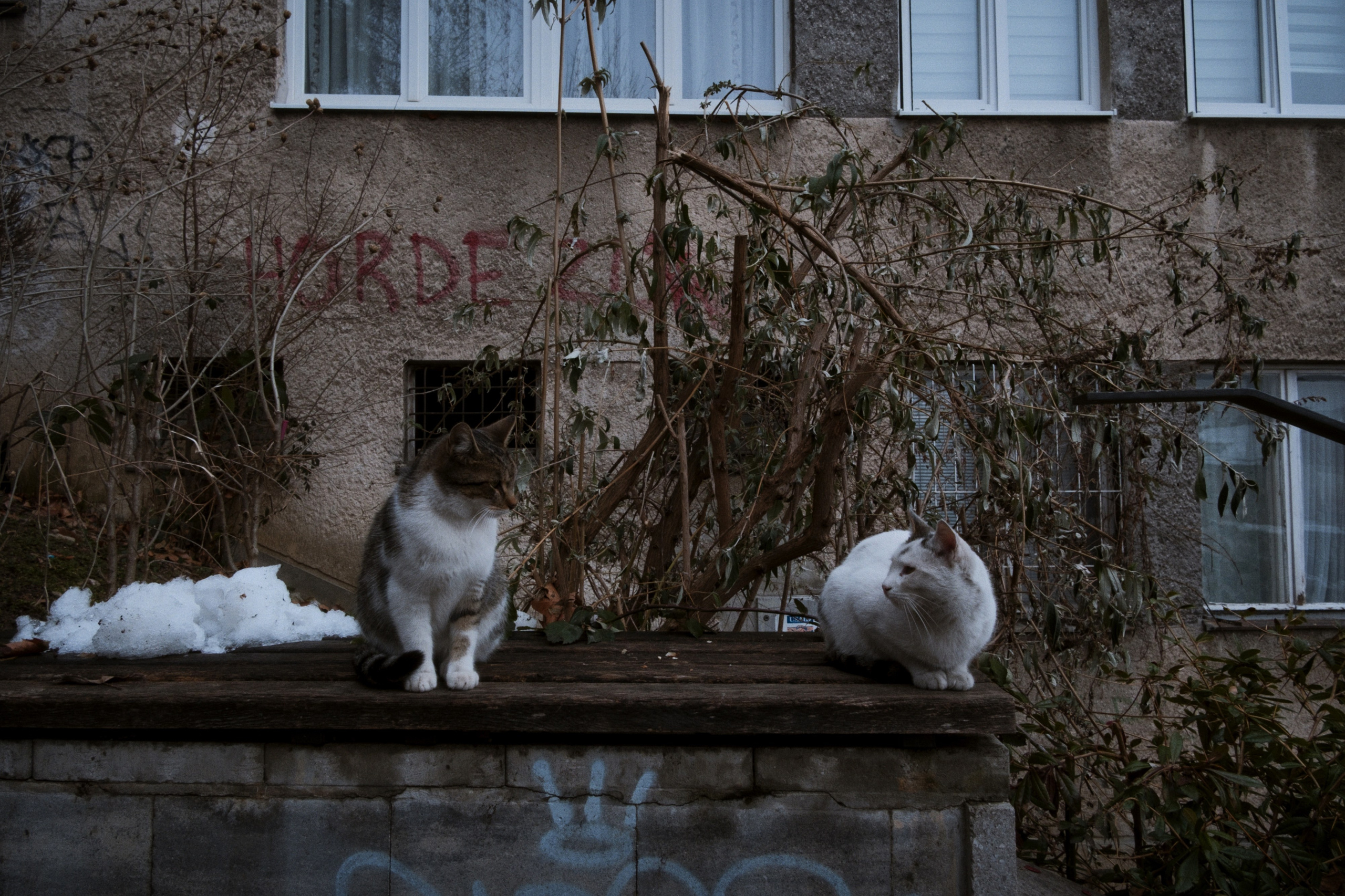 Sarajevo / Bosnia and Herzegovina AW26. Фотограф Юрин Евгений