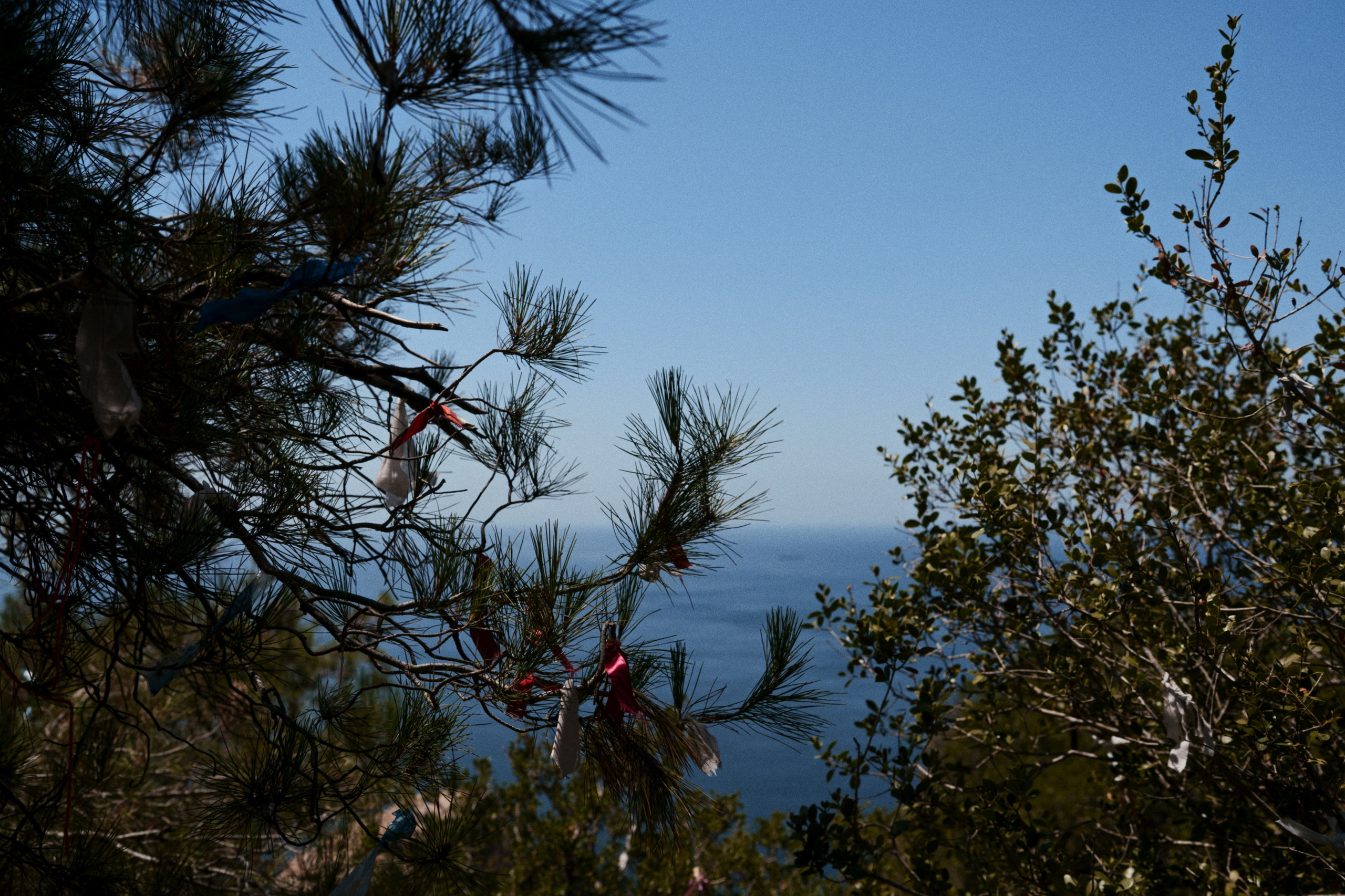 Büyükada х Heybeliada, Istanbul / Türkey SS25. Фотограф Юрин Евгений
