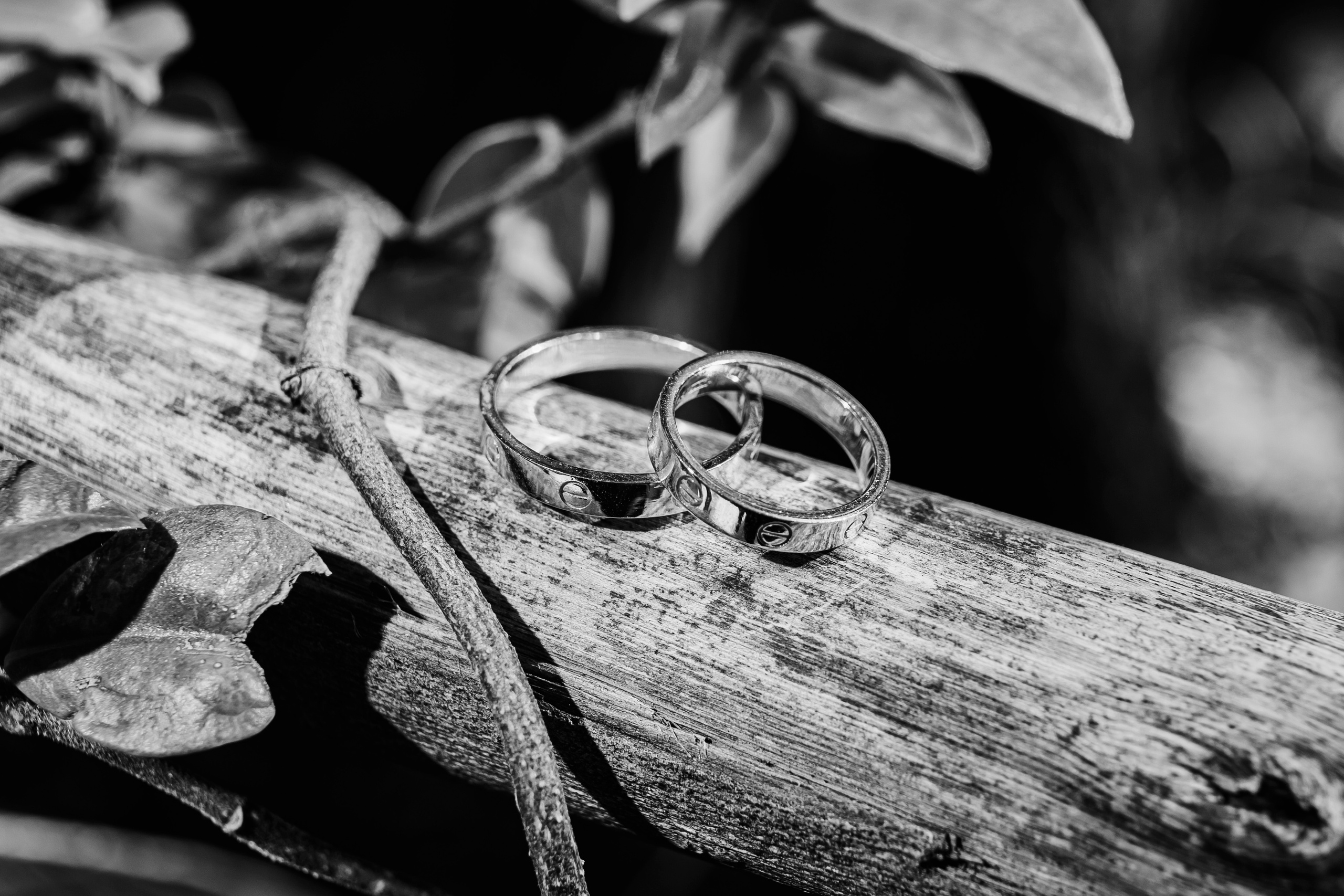 WEDDING V&V. Свадебный и семейный фотограф в Сочи Анастасия Мальцева