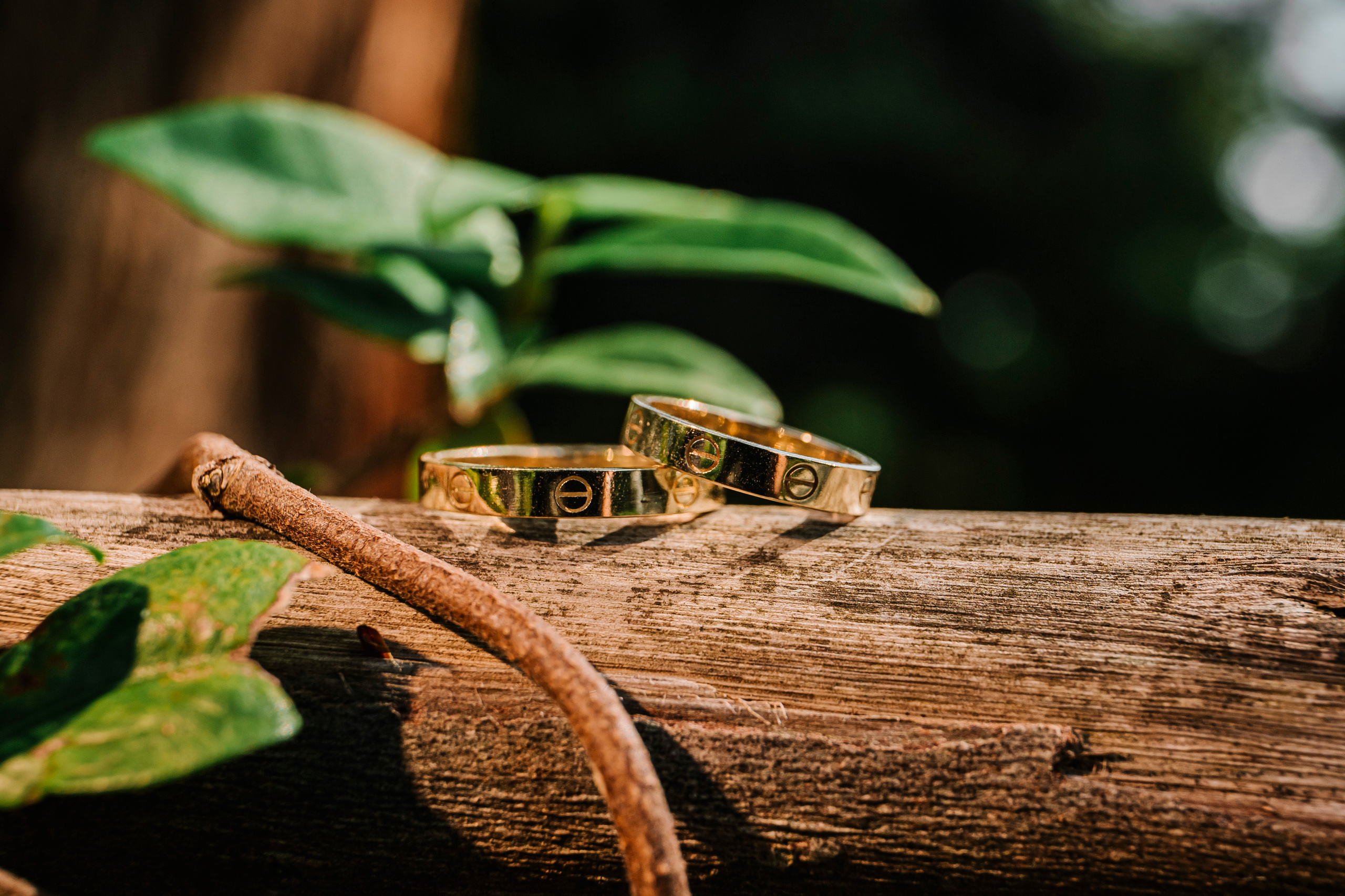 WEDDING V&V. Свадебный и семейный фотограф в Сочи Анастасия Мальцева