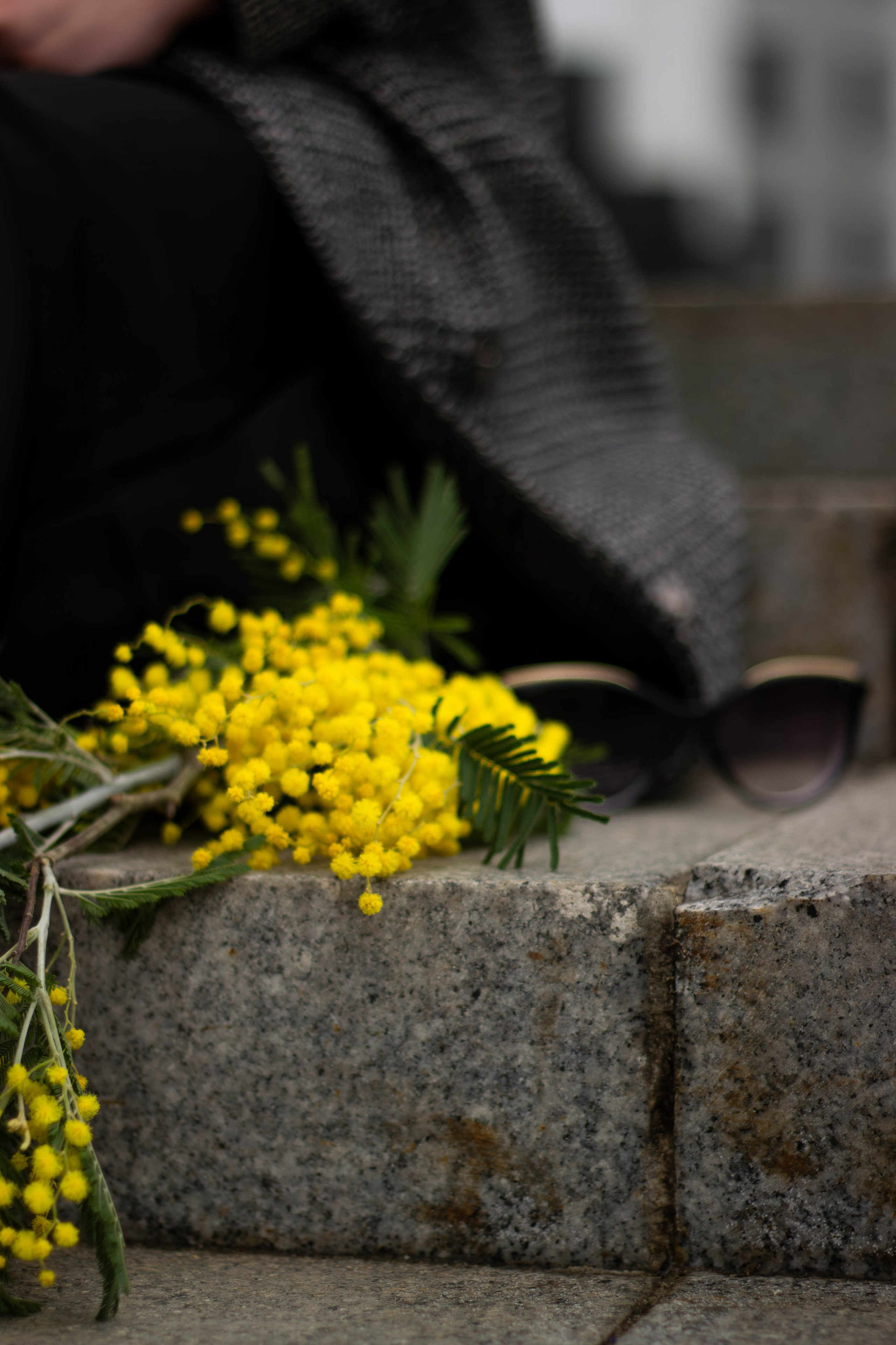Прогулка с Аней. Портретный фотограф Москва Юлия Трякина
